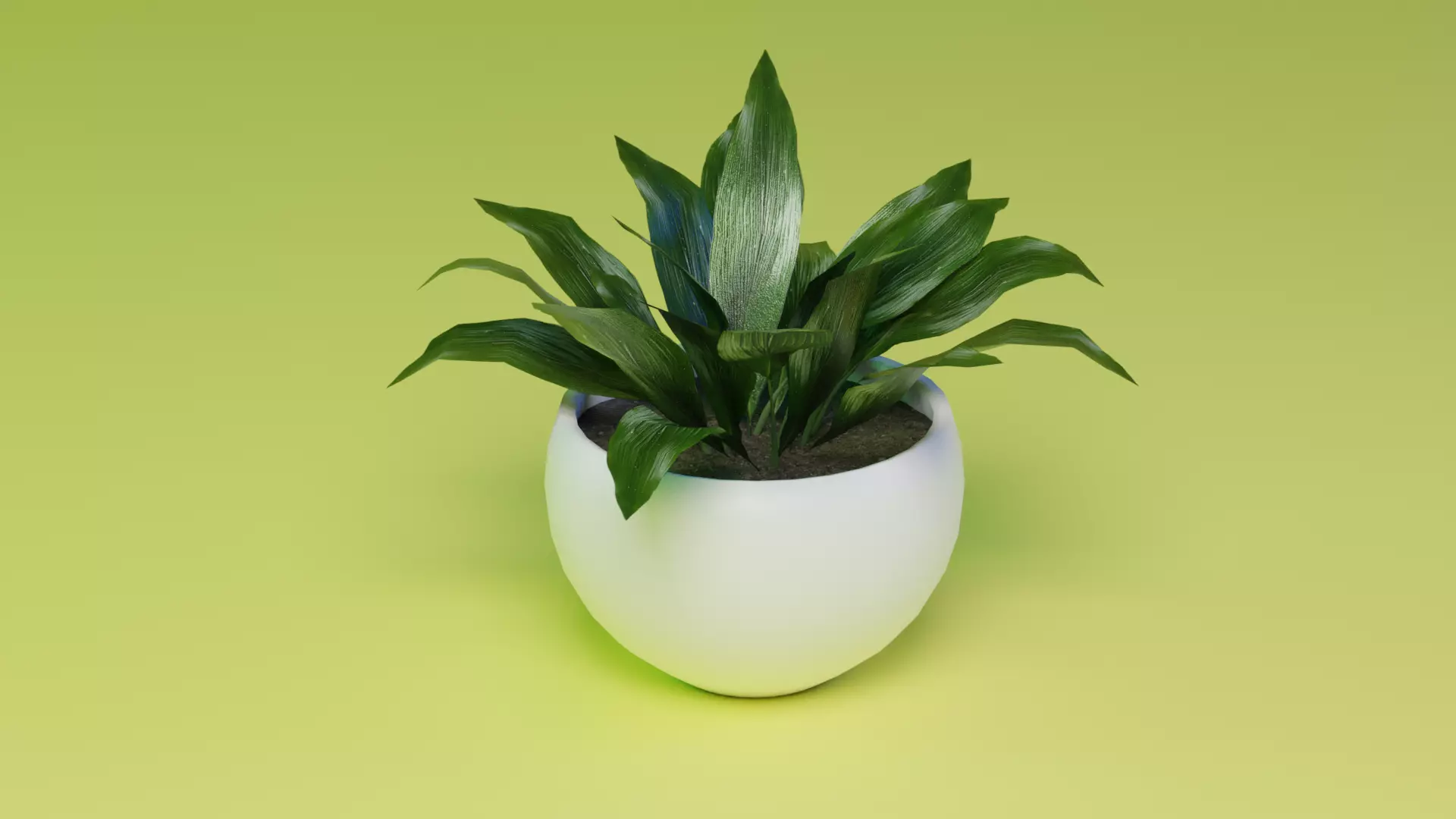 Aspidistra indoor plant PBR Ready for Unreal Engine 5 Low-poly 3D model_0