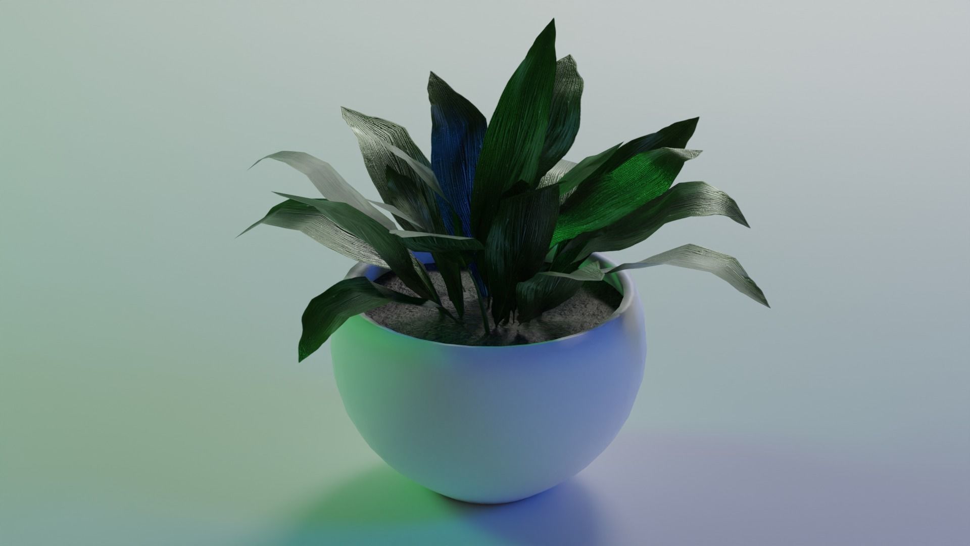 Aspidistra indoor plant PBR Ready for Unreal Engine 5 Low-poly 3D model_3