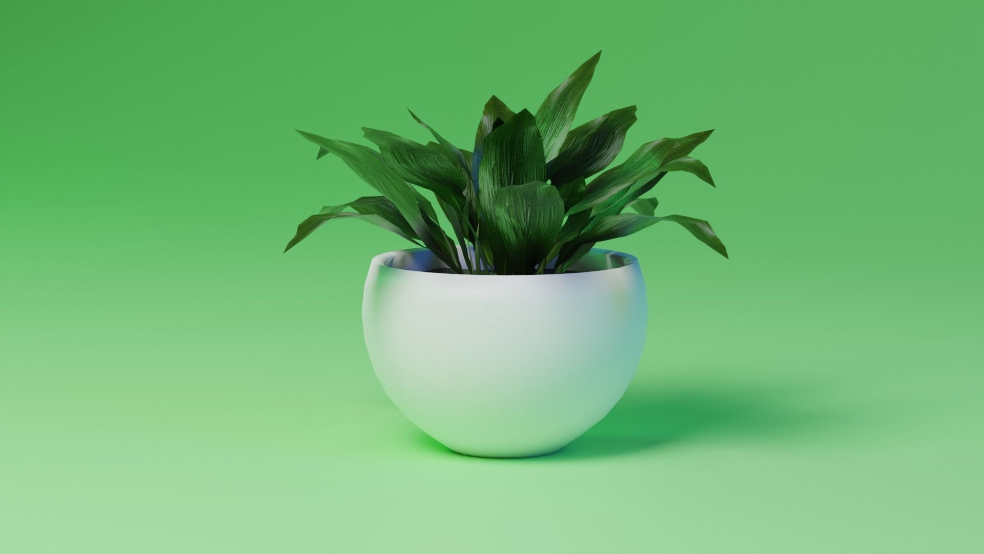 Aspidistra indoor plant PBR Ready for Unreal Engine 5 Low-poly 3D model_2