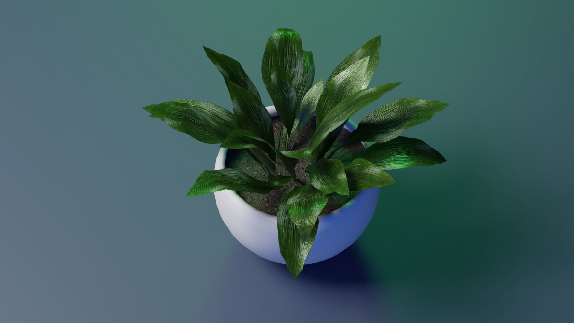Aspidistra indoor plant PBR Ready for Unreal Engine 5 Low-poly 3D model_1