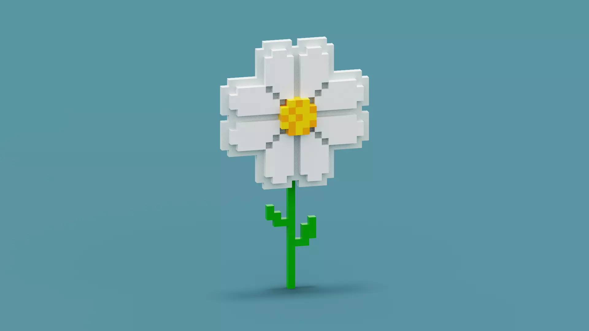 Voxel Daisy Flower Low-poly 3D model_0