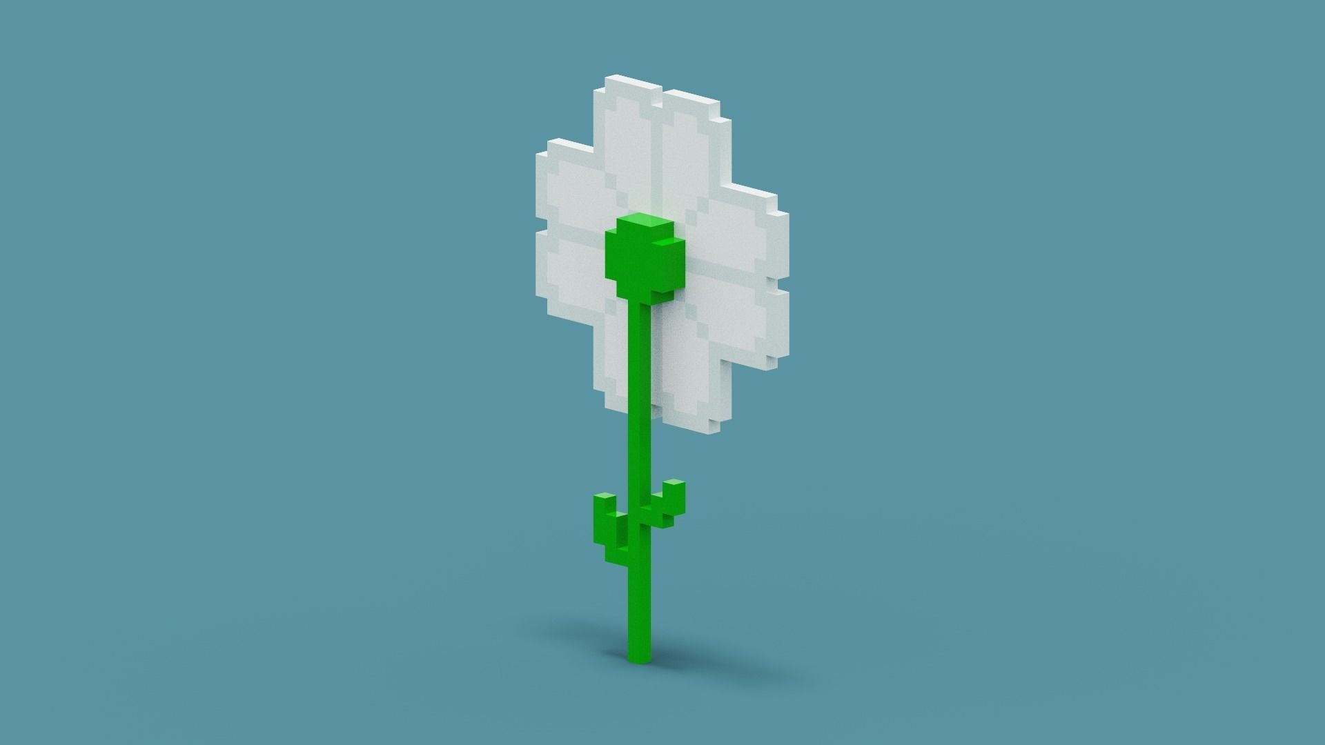 Voxel Daisy Flower Low-poly 3D model_8