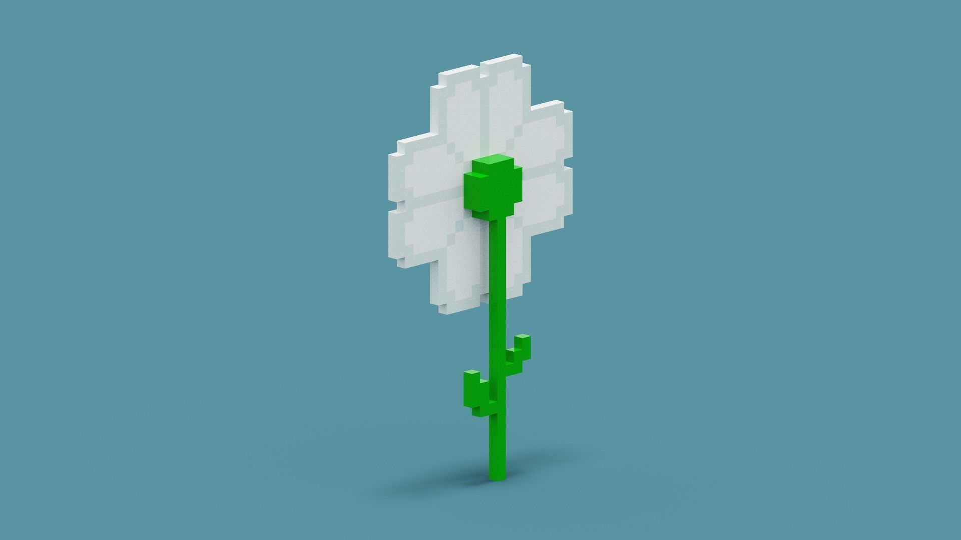 Voxel Daisy Flower Low-poly 3D model_5