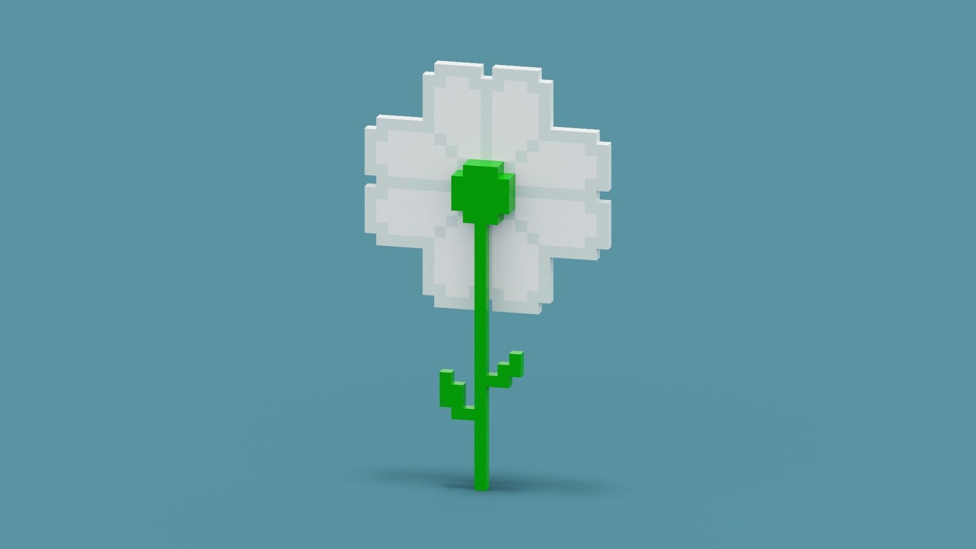 Voxel Daisy Flower Low-poly 3D model_7