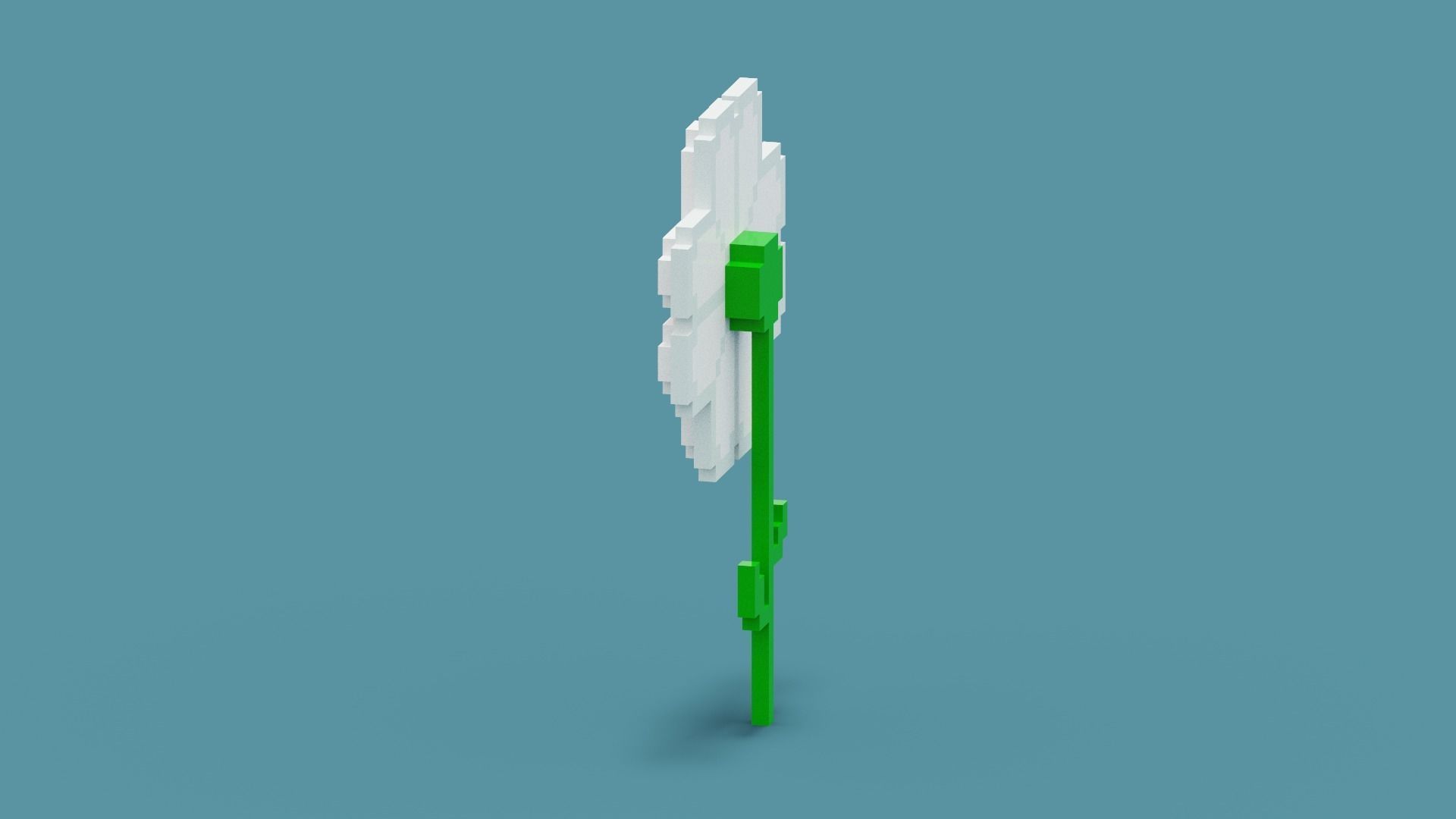 Voxel Daisy Flower Low-poly 3D model_4