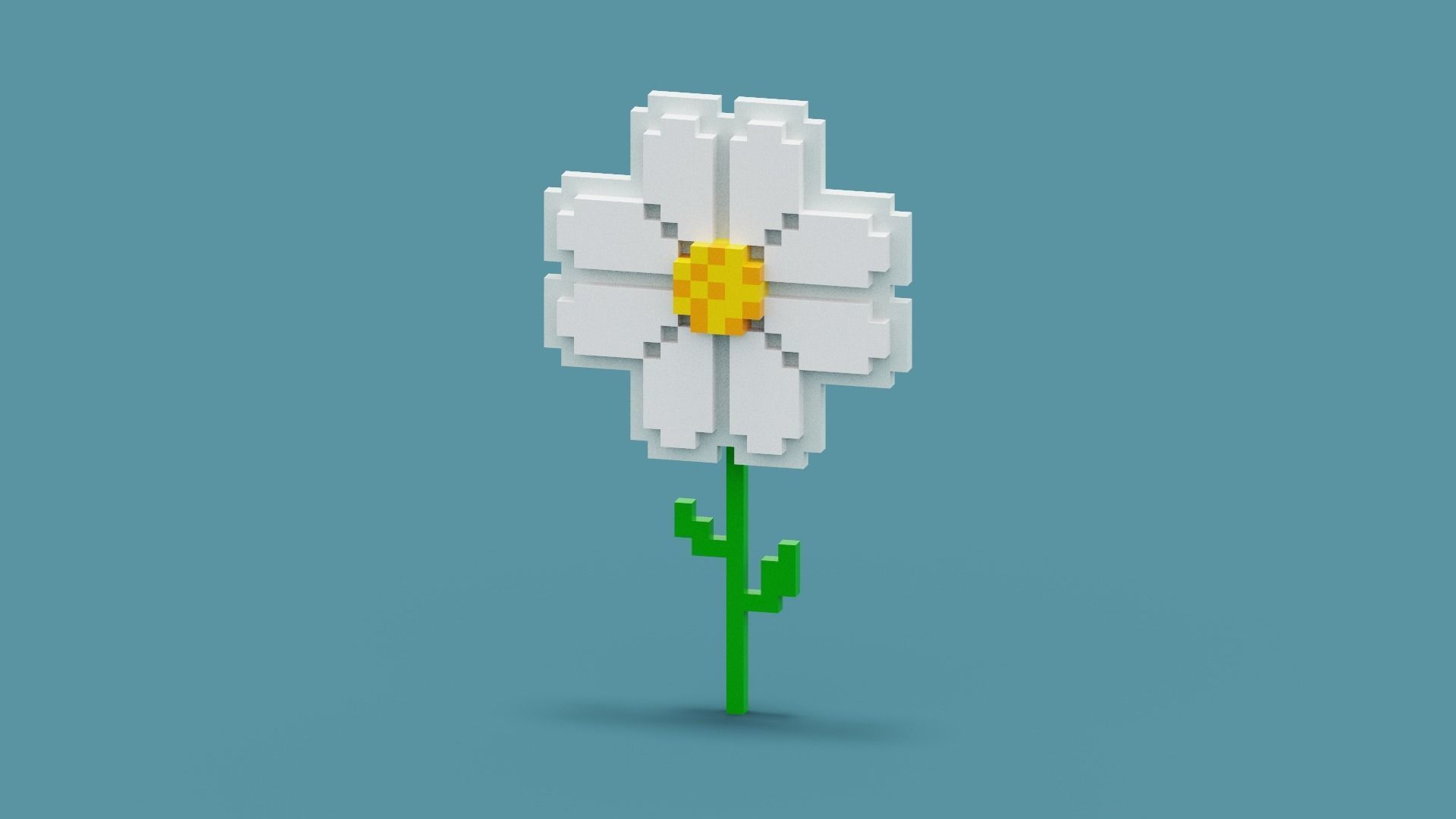 Voxel Daisy Flower Low-poly 3D model_1