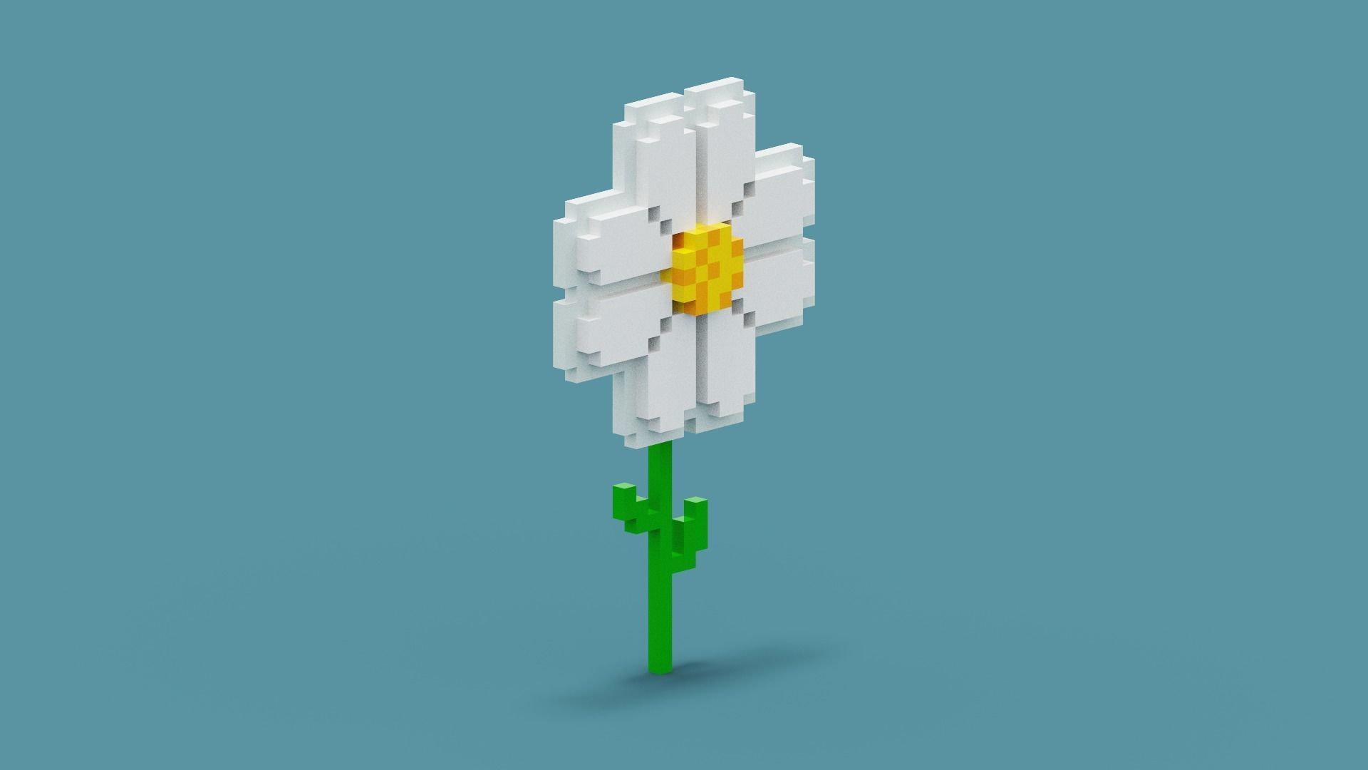 Voxel Daisy Flower Low-poly 3D model_11