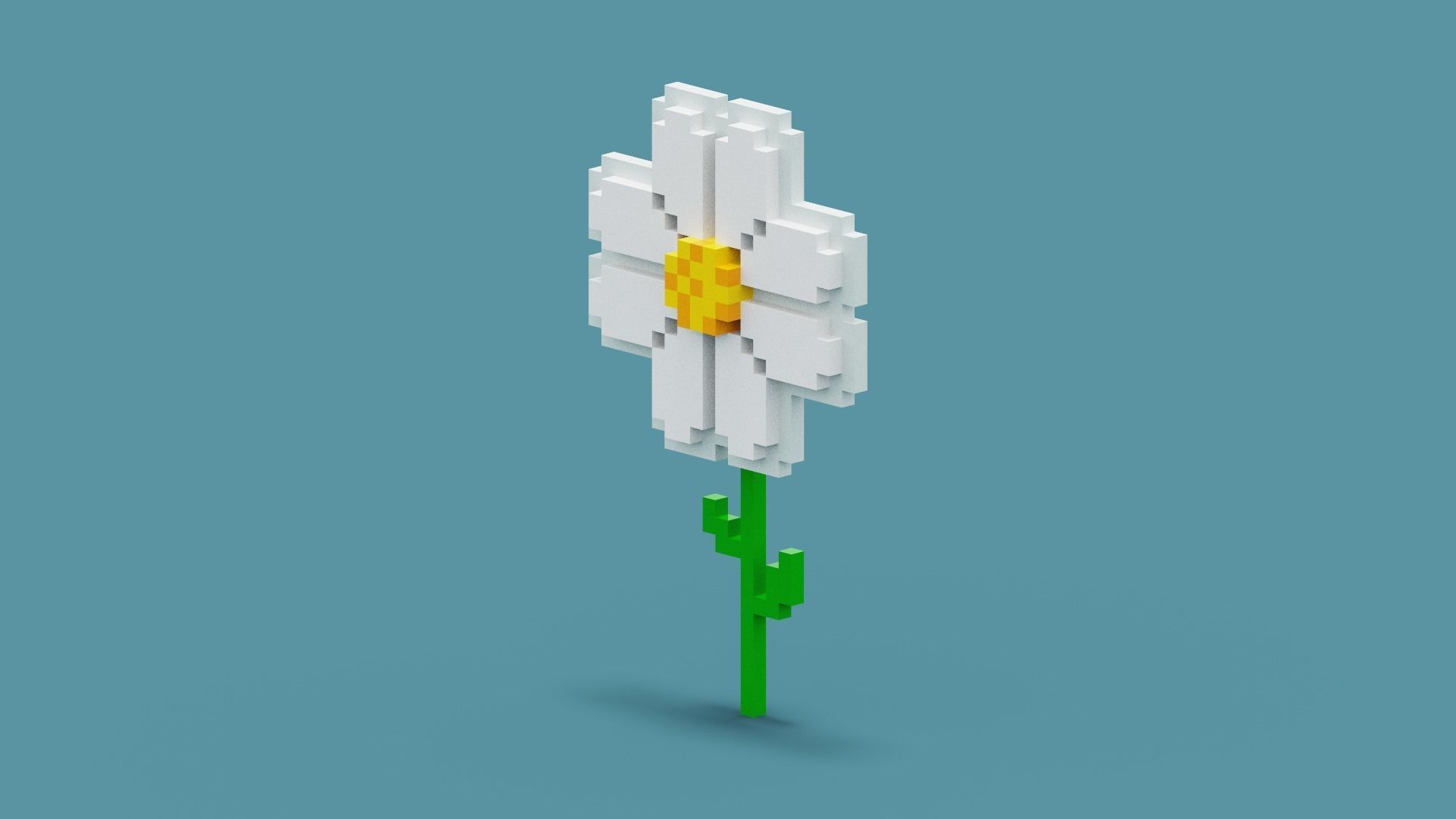 Voxel Daisy Flower Low-poly 3D model_2