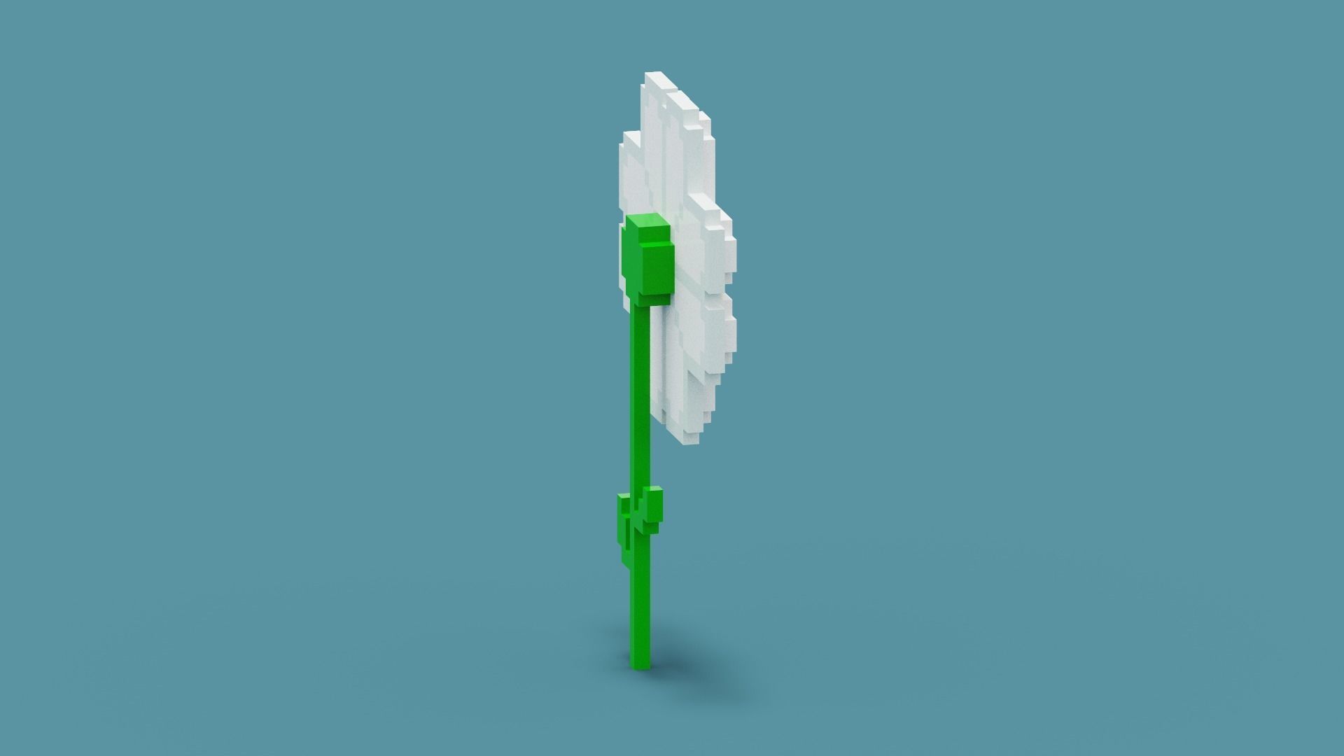 Voxel Daisy Flower Low-poly 3D model_9