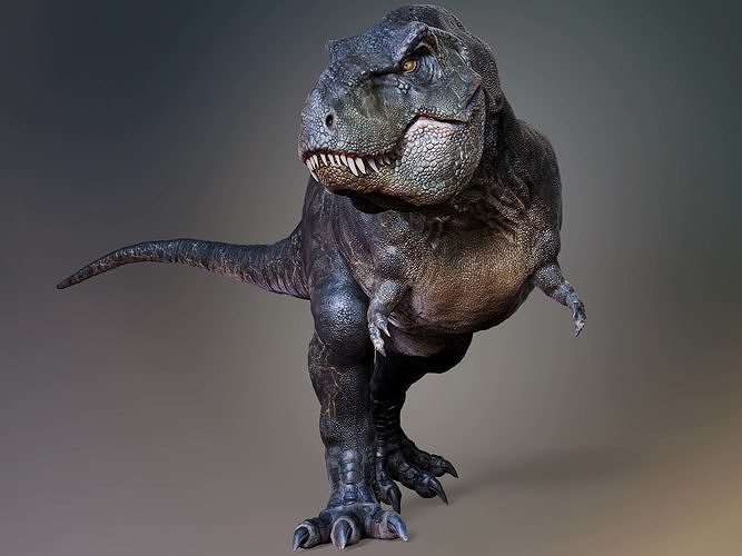 T Rex -Tyrannosaurus Rex Sue Sculpt Project 3D model