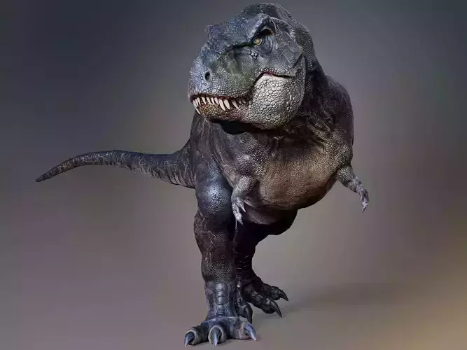 T Rex -Tyrannosaurus Rex Sue Sculpt Project 3D model
