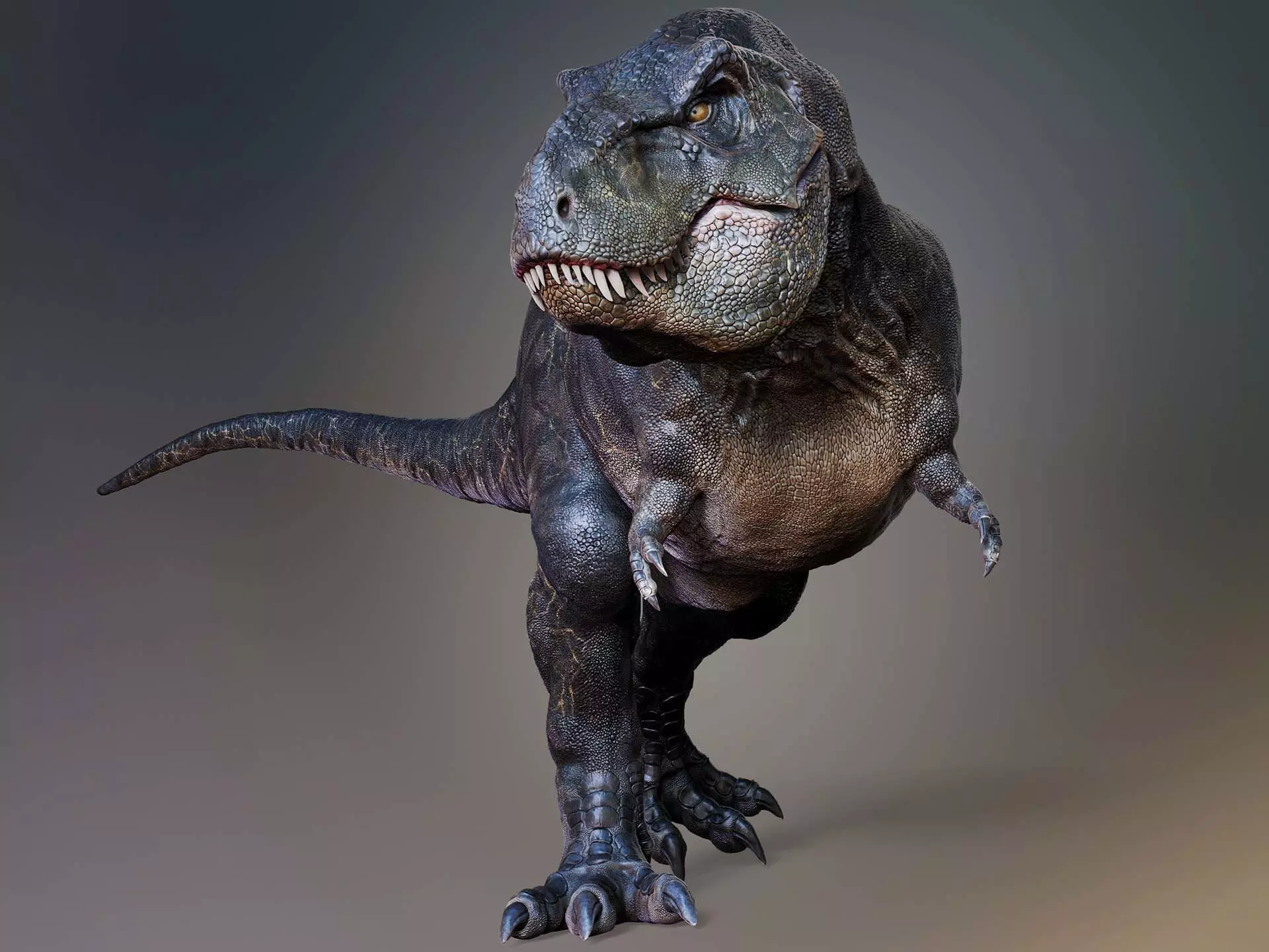 Dinosaur T Rex -Tyrannosaurus Rex Sue Sculpt Project 3D model_0