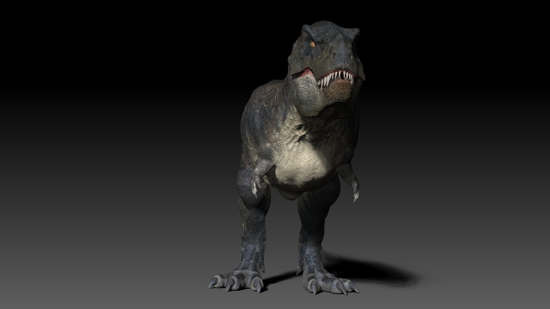Dinosaur T Rex -Tyrannosaurus Rex Sue Sculpt Project 3D model_14