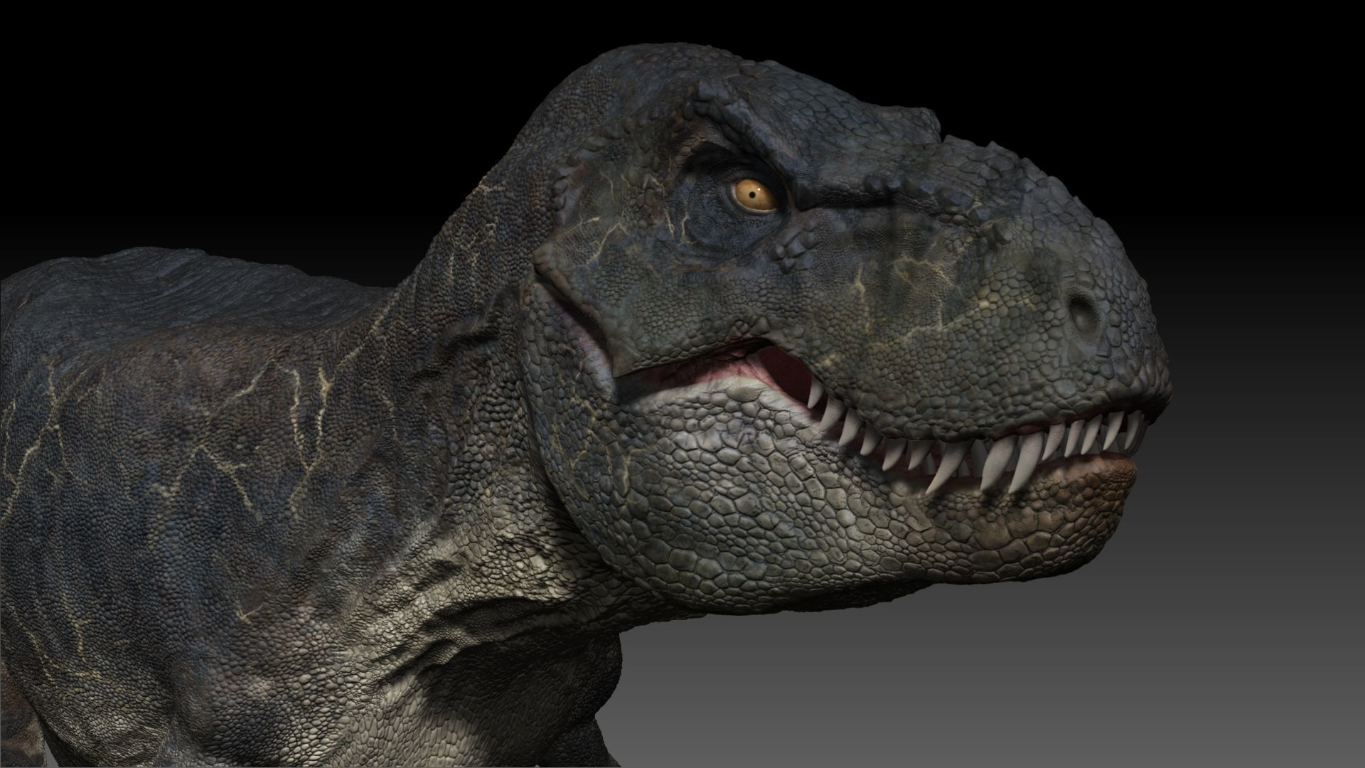 Dinosaur T Rex -Tyrannosaurus Rex Sue Sculpt Project 3D model_5