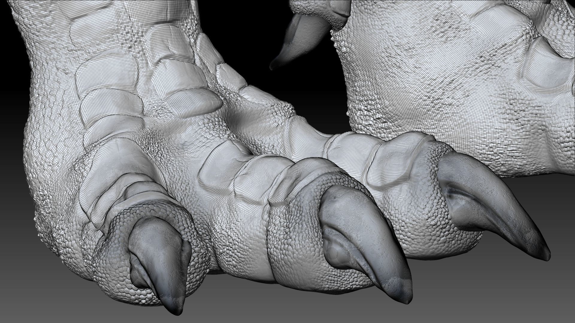 Dinosaur T Rex -Tyrannosaurus Rex Sue Sculpt Project 3D model_22