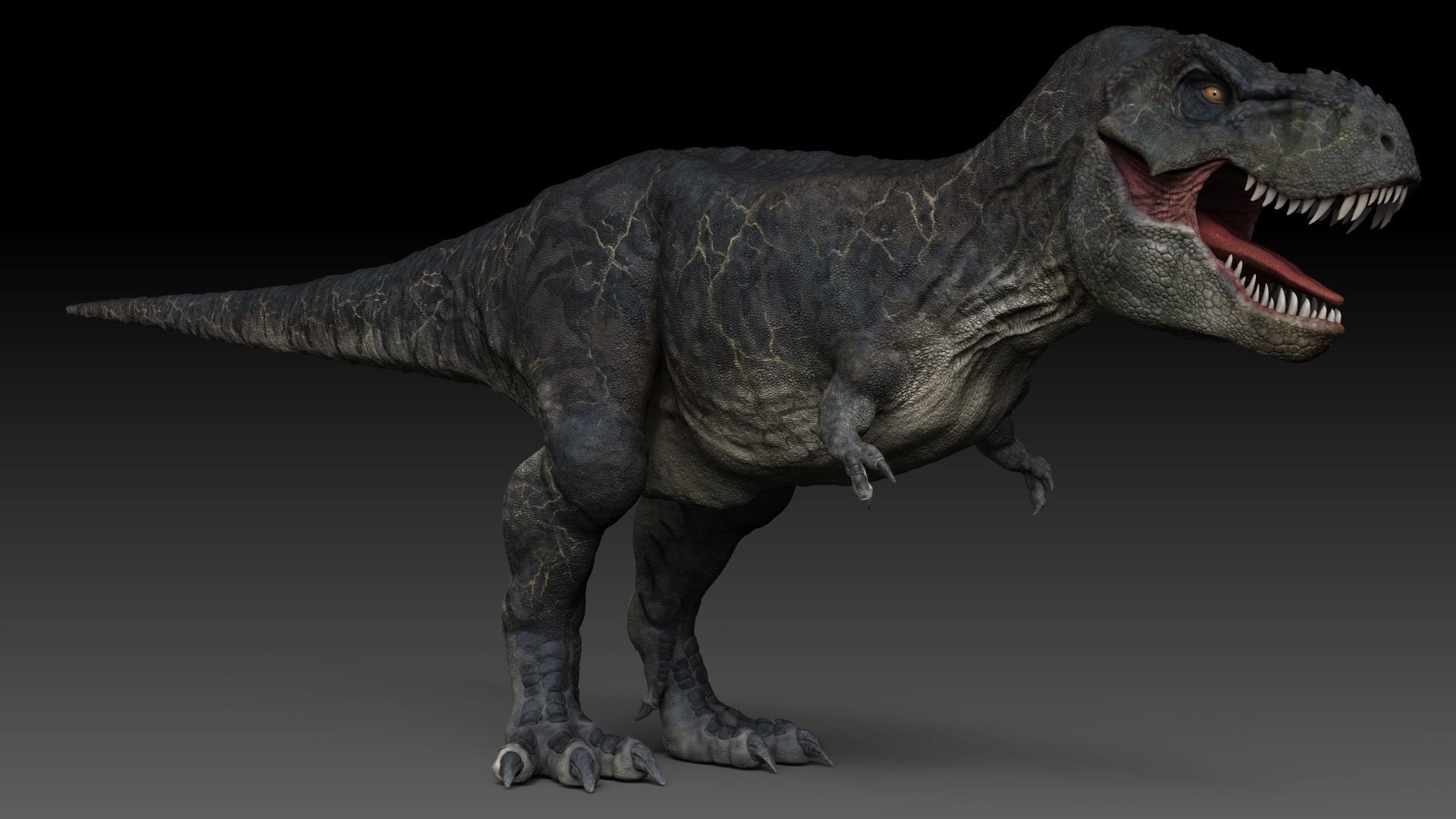 Dinosaur T Rex -Tyrannosaurus Rex Sue Sculpt Project 3D model_18