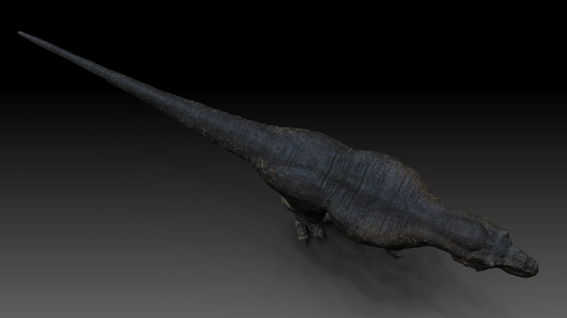 Dinosaur T Rex -Tyrannosaurus Rex Sue Sculpt Project 3D model_13