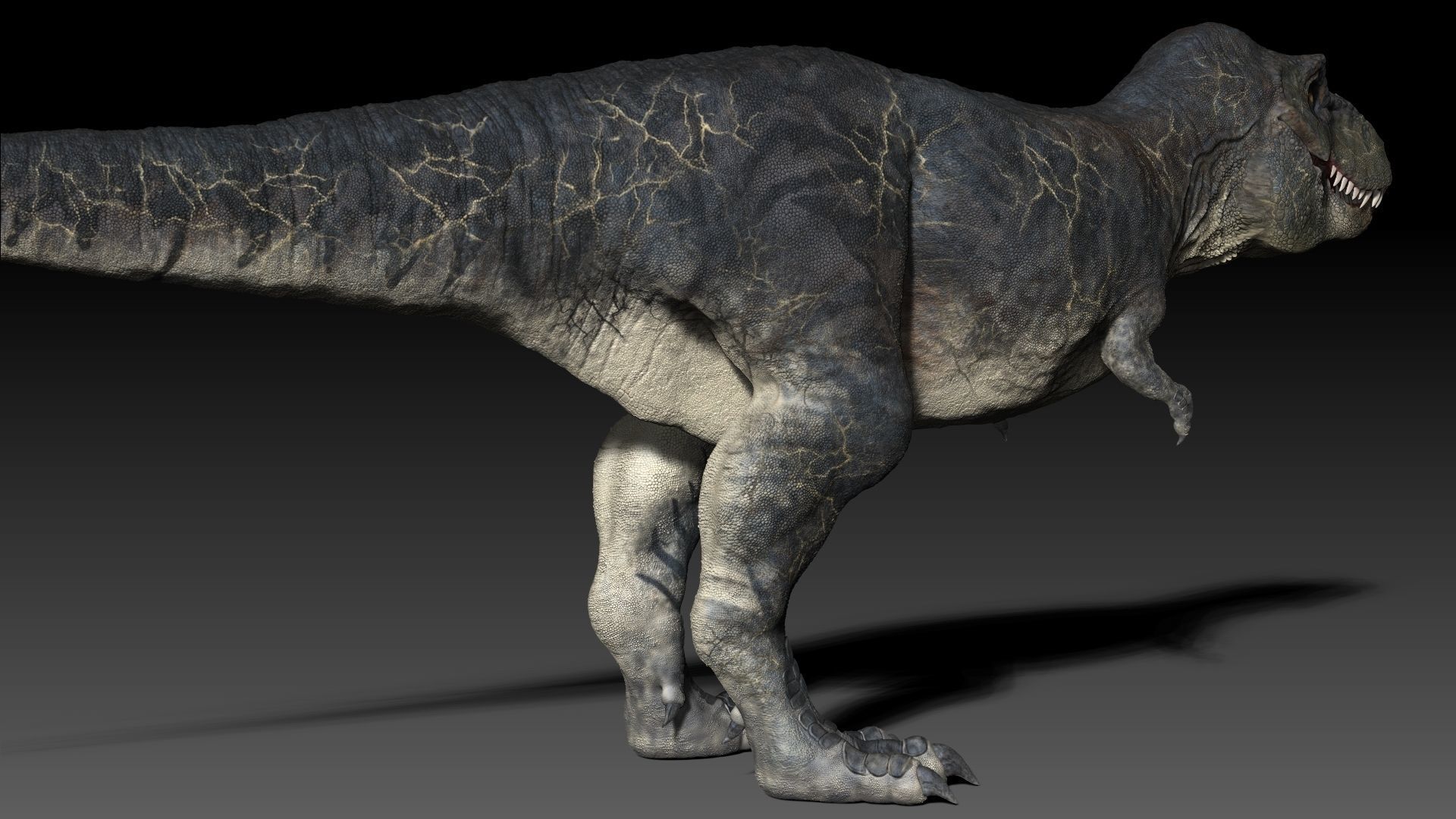 Dinosaur T Rex -Tyrannosaurus Rex Sue Sculpt Project 3D model_15
