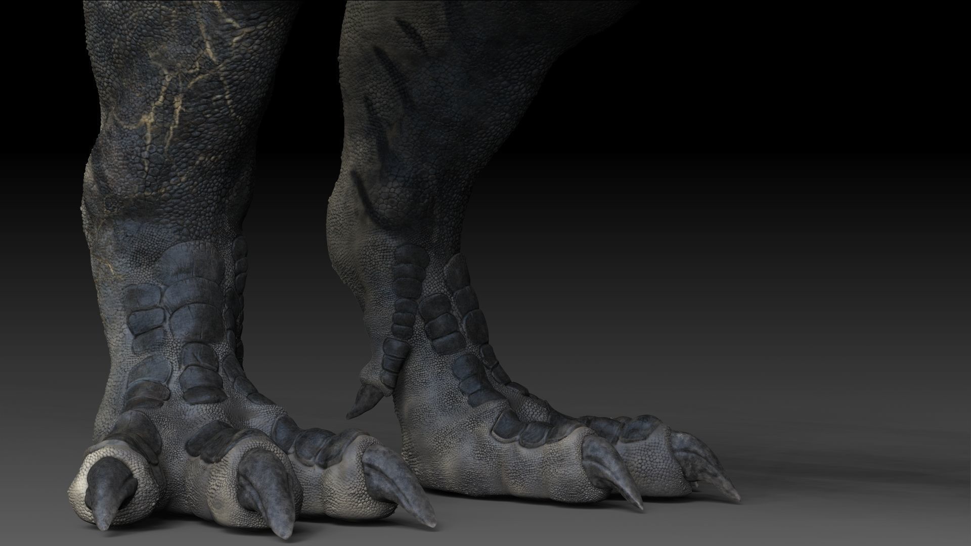 Dinosaur T Rex -Tyrannosaurus Rex Sue Sculpt Project 3D model_11