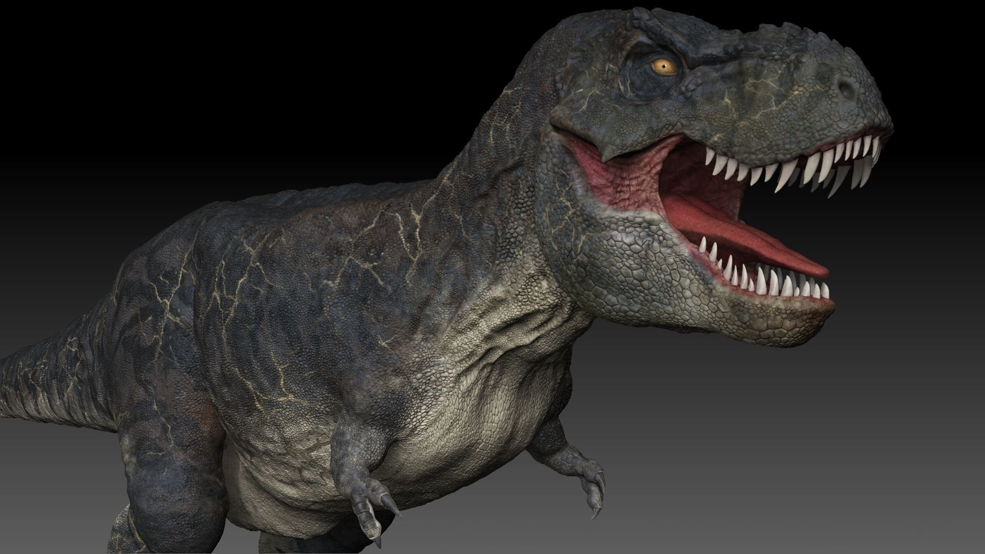 Dinosaur T Rex -Tyrannosaurus Rex Sue Sculpt Project 3D model_7