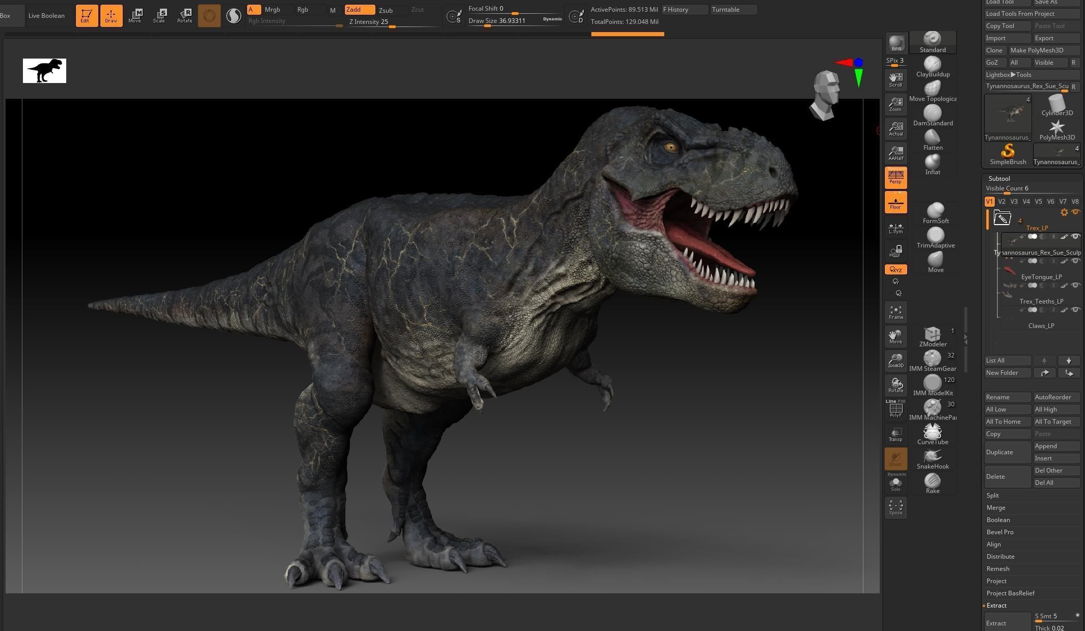 Dinosaur T Rex -Tyrannosaurus Rex Sue Sculpt Project 3D model_8