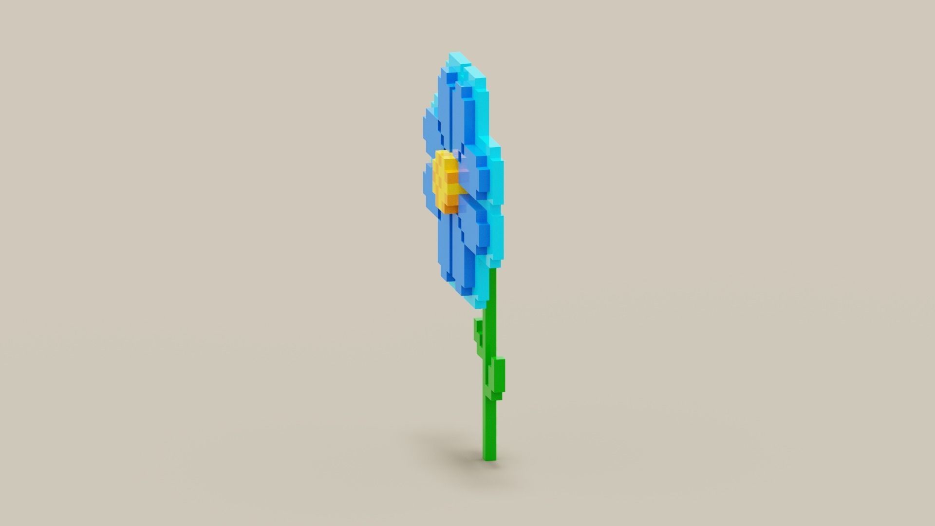 Voxel Blue Daisy Low-poly 3D model_3