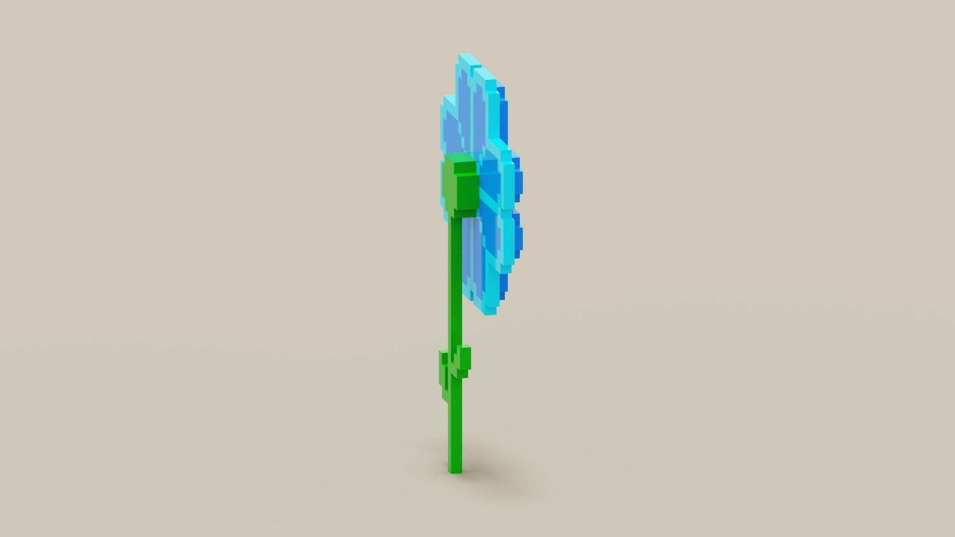 Voxel Blue Daisy Low-poly 3D model_9