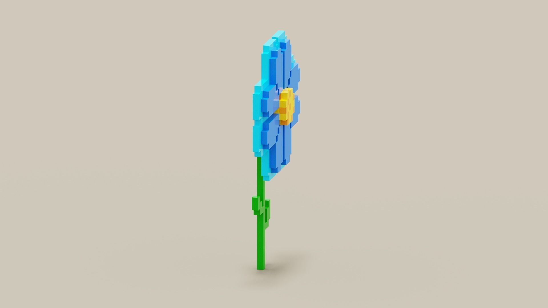 Voxel Blue Daisy Low-poly 3D model_10