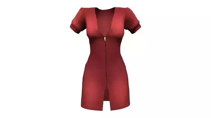 Ladies Zipper Dress