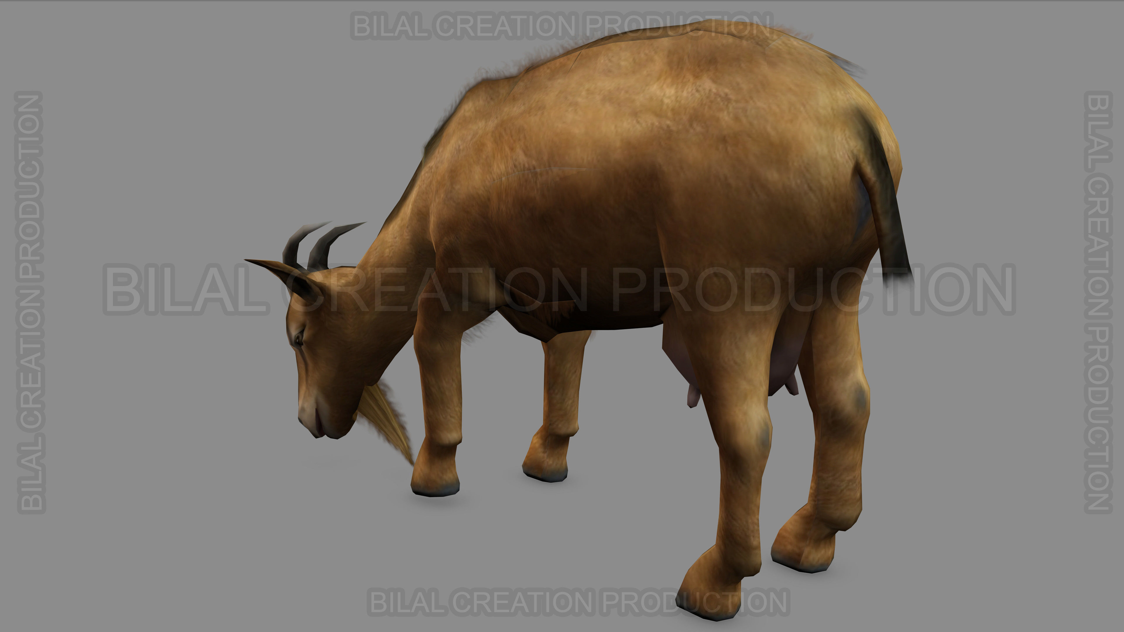 ANIMATED GOAT 3D model_12