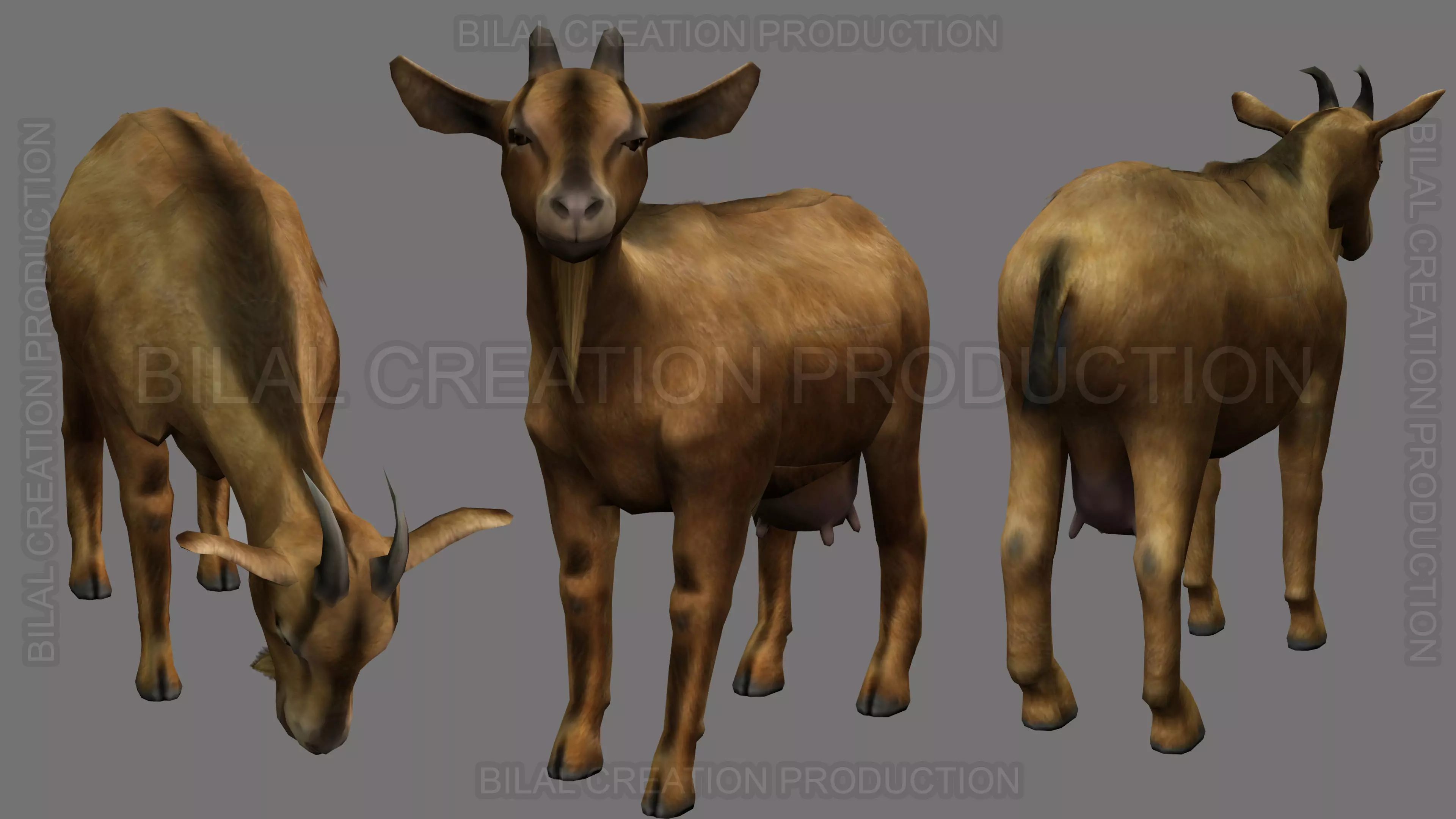 ANIMATED GOAT 3D model_0
