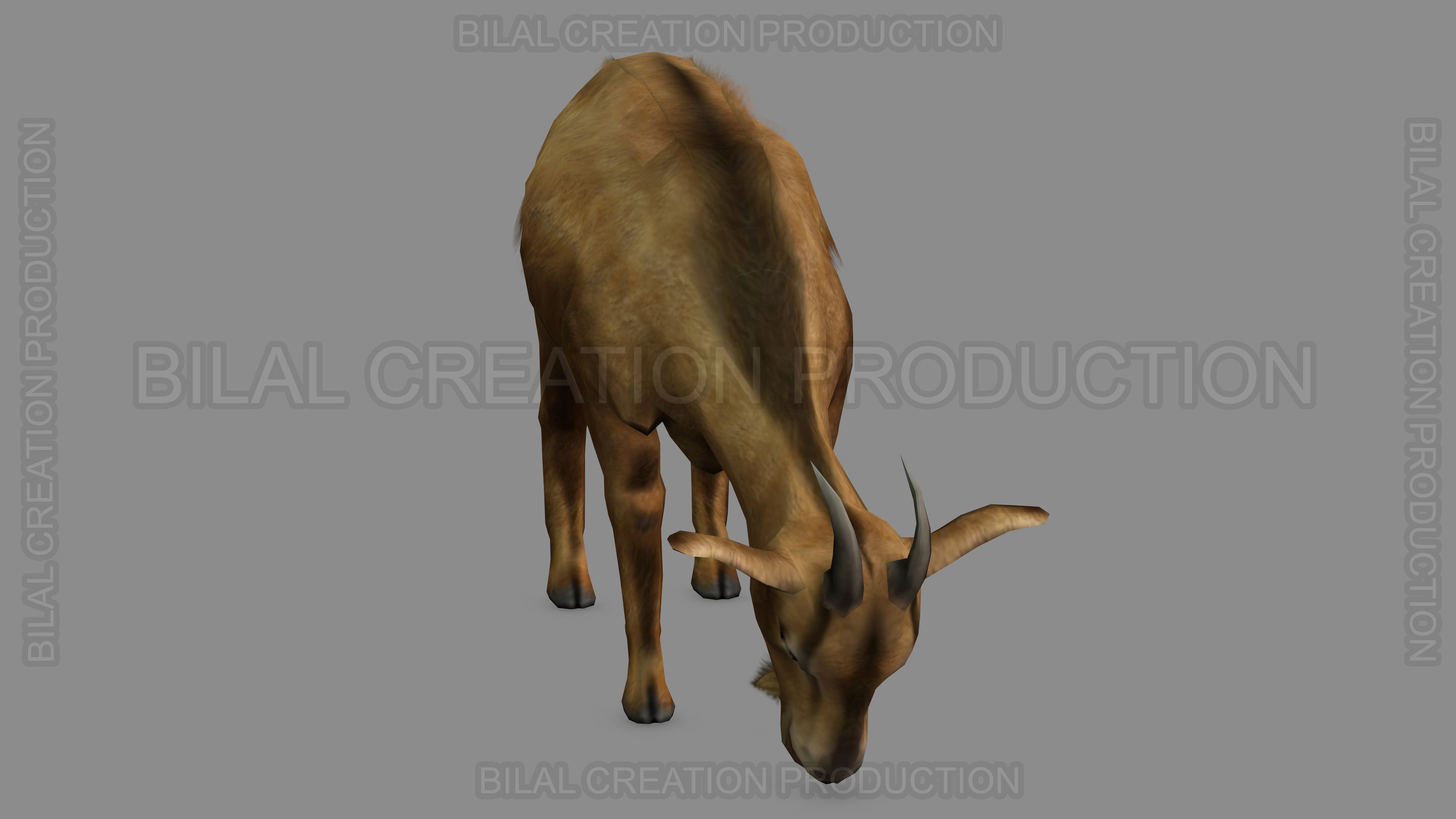 ANIMATED GOAT 3D model_5