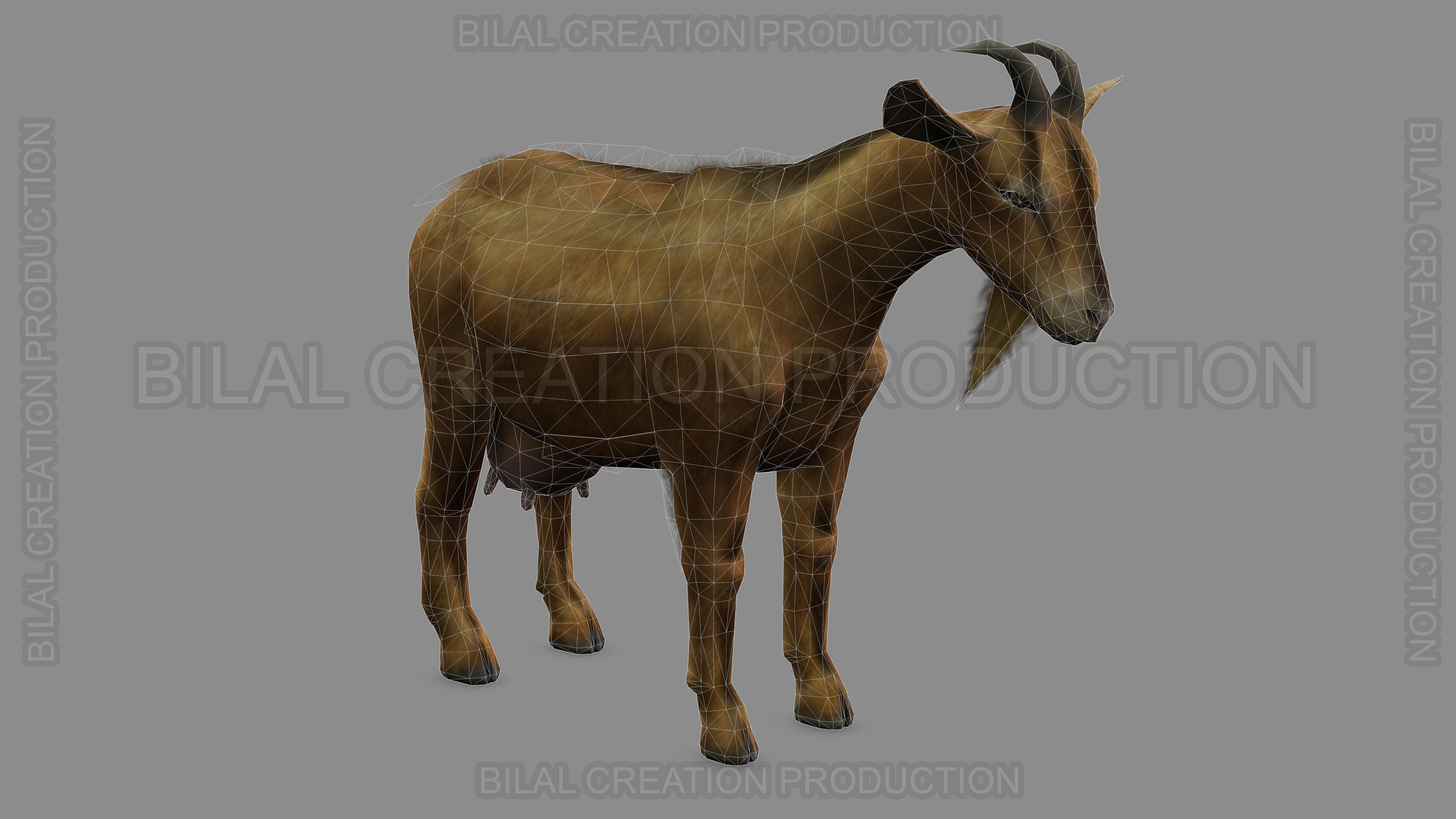 ANIMATED GOAT 3D model_14