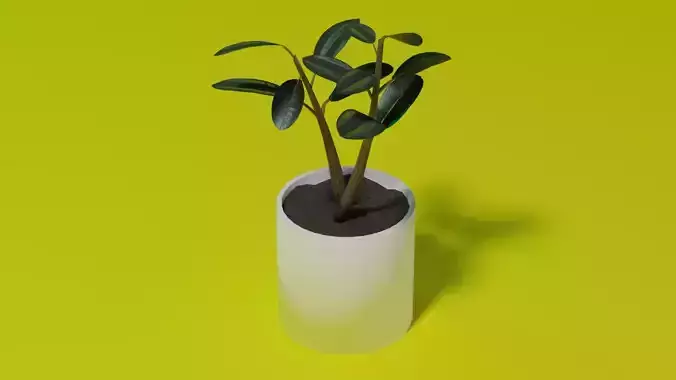 Ficus Burgundy Rubber Tree PBR Ready for Unreal Engine 5