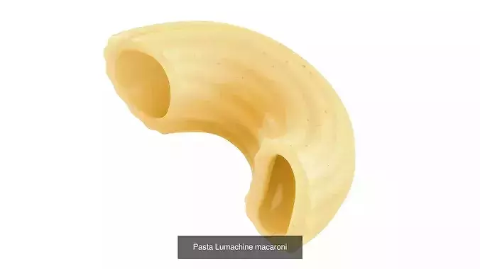 Pasta Set shell 3D Model Pack 2