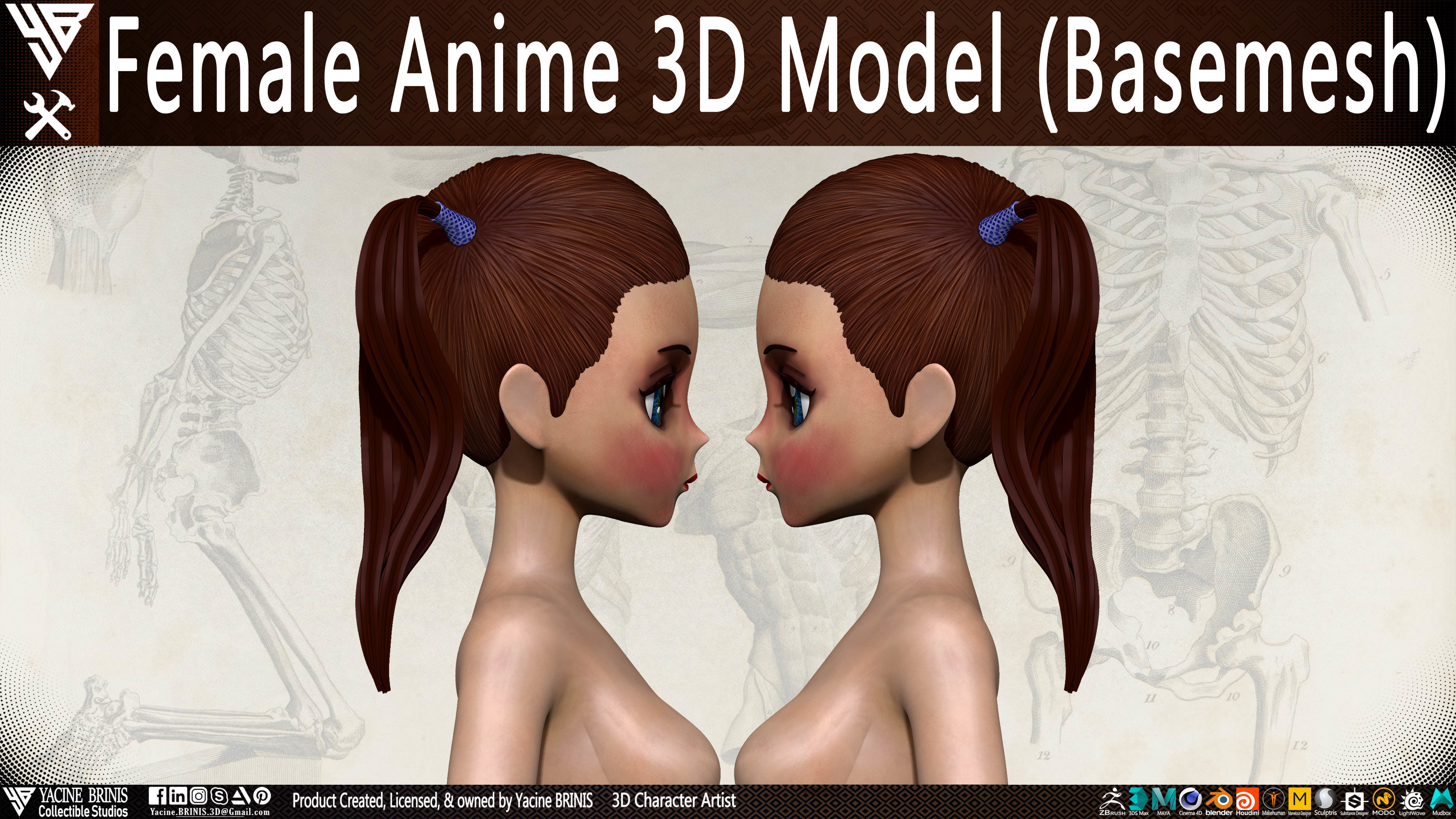Female Anime Base-mesh 3D Model Vol 01 Low-poly 3D model_14