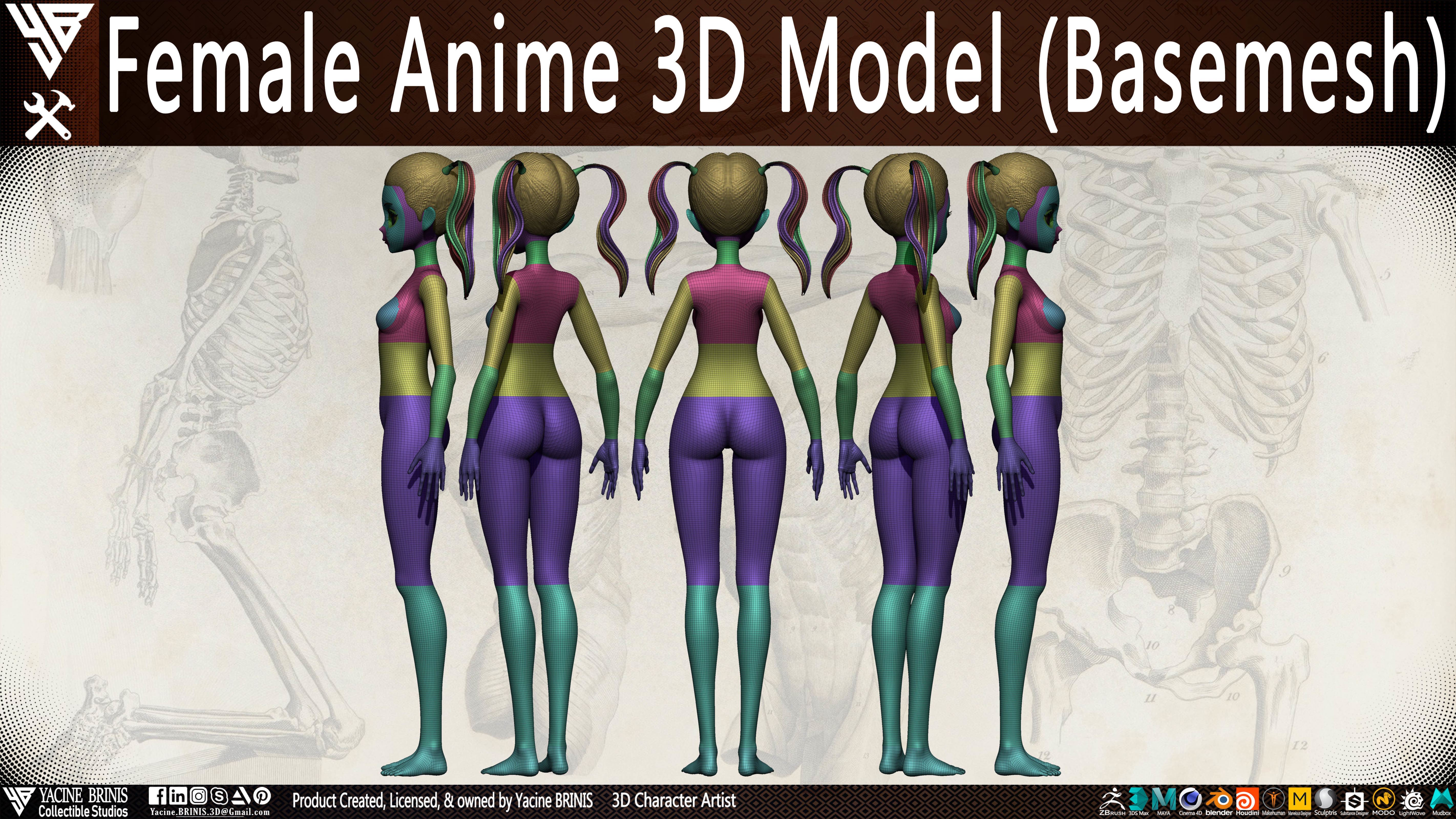 Female Anime Base-mesh 3D Model Vol 01 Low-poly 3D model_7