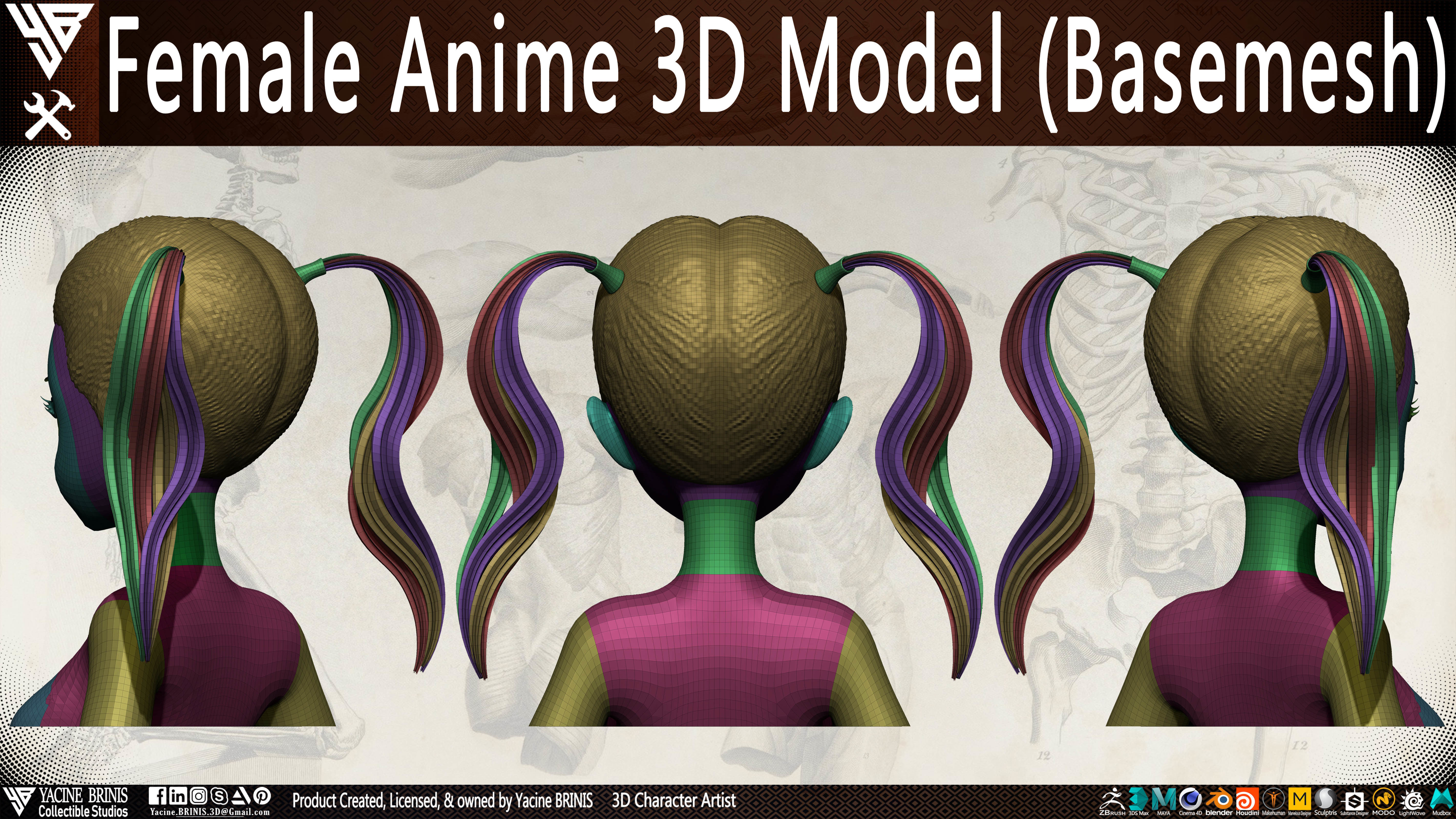 Female Anime Base-mesh 3D Model Vol 01 Low-poly 3D model_17