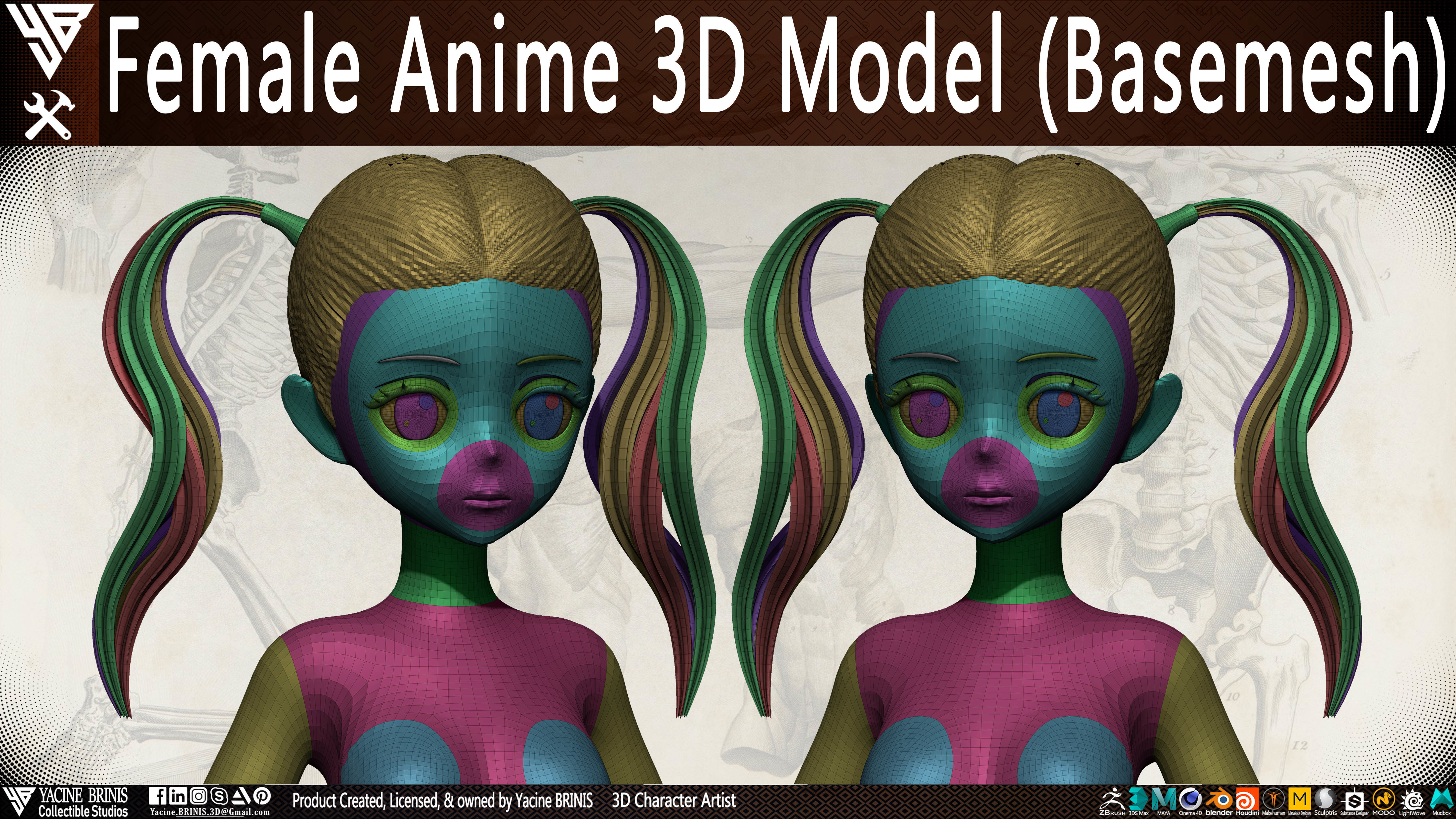 Female Anime Base-mesh 3D Model Vol 01 Low-poly 3D model_18
