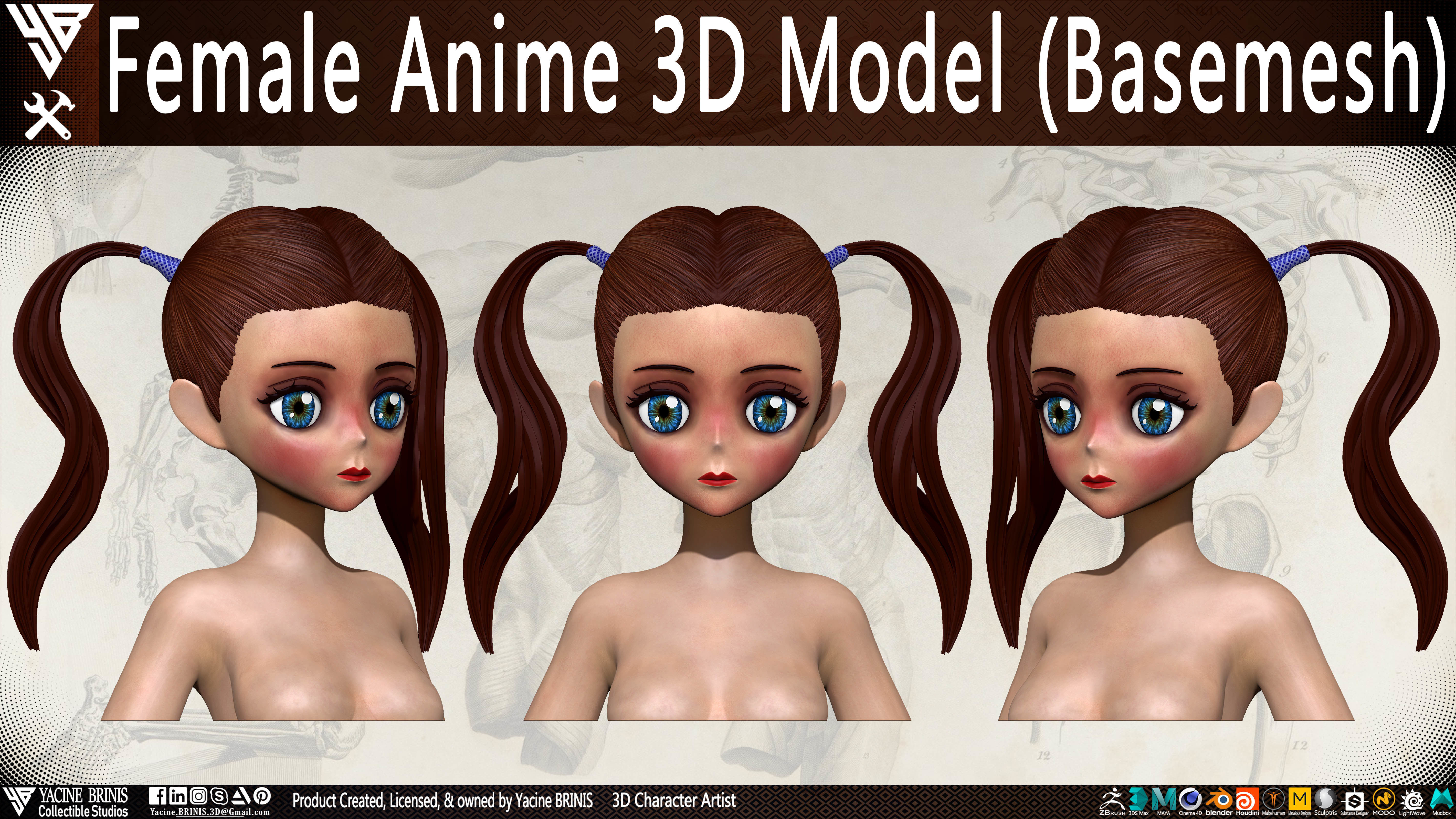 Female Anime Base-mesh 3D Model Vol 01 Low-poly 3D model_12