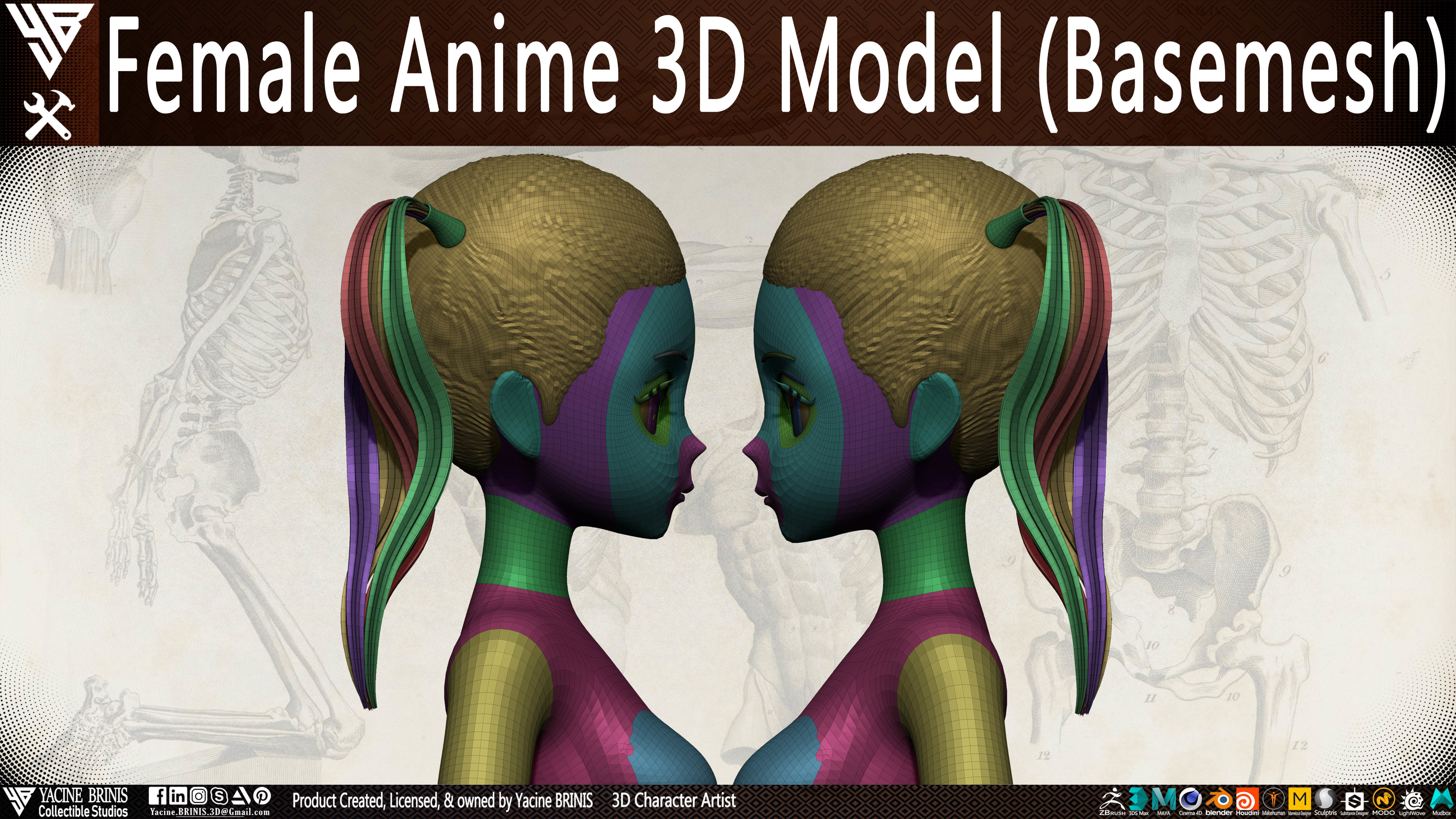 Female Anime Base-mesh 3D Model Vol 01 Low-poly 3D model_19