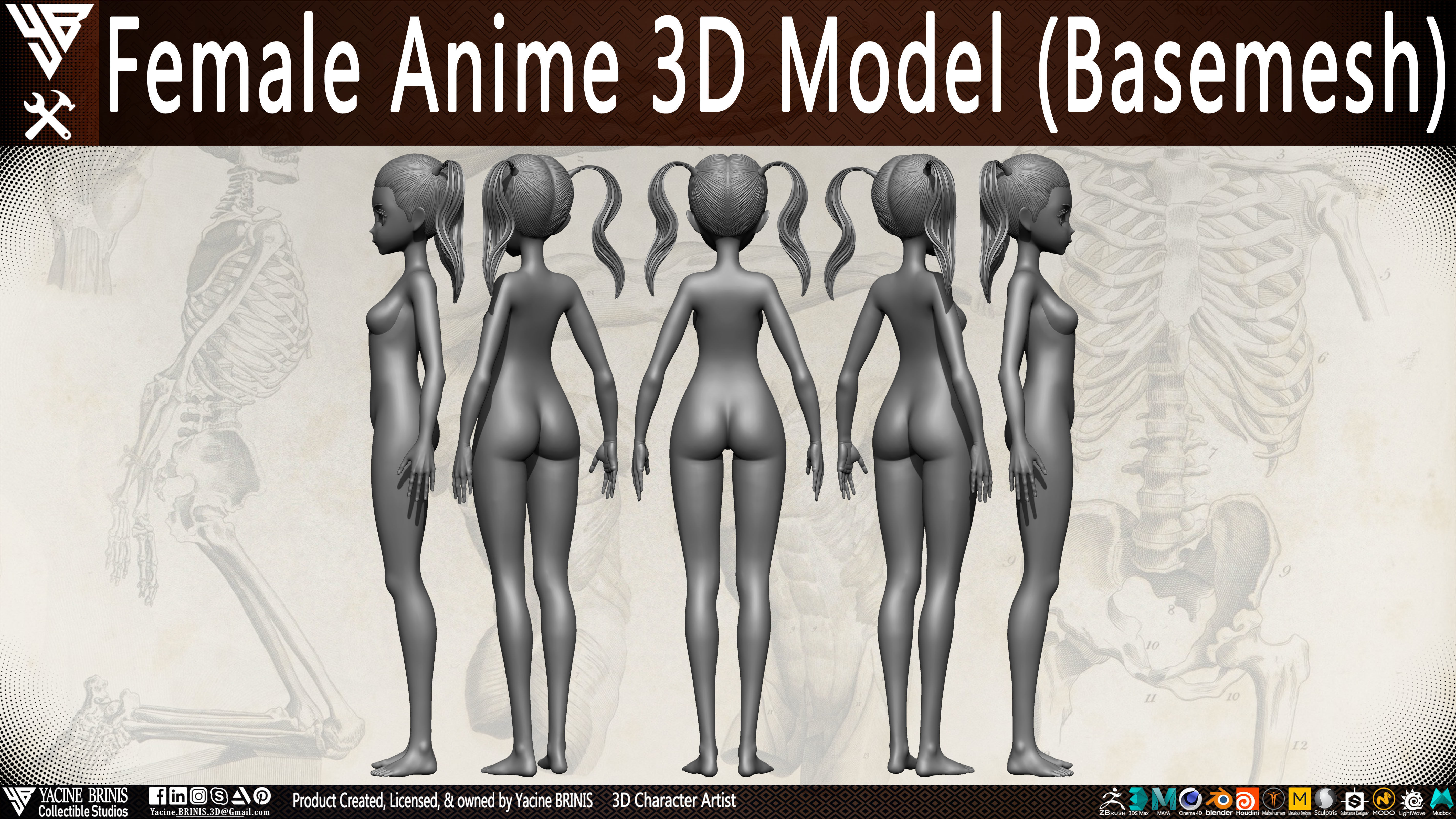 Female Anime Base-mesh 3D Model Vol 01 Low-poly 3D model_5