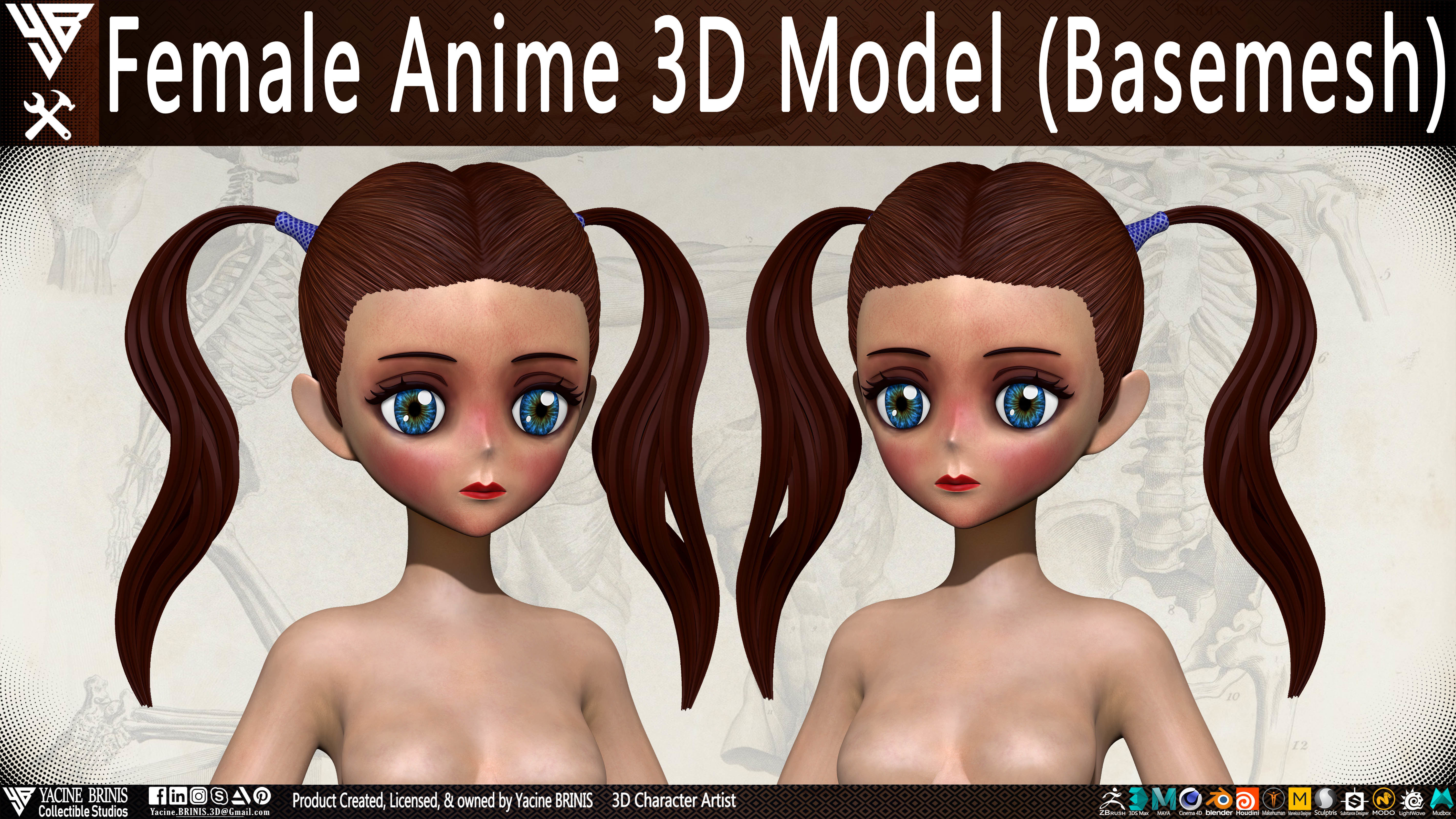 Female Anime Base-mesh 3D Model Vol 01 Low-poly 3D model_13