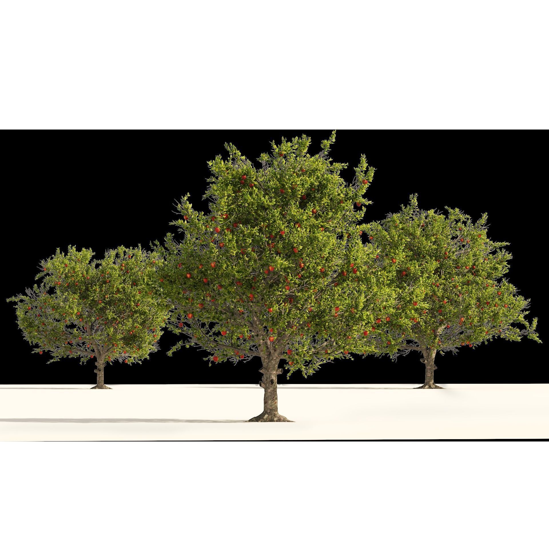 3 Apple trees with apple fruits 3D model_7
