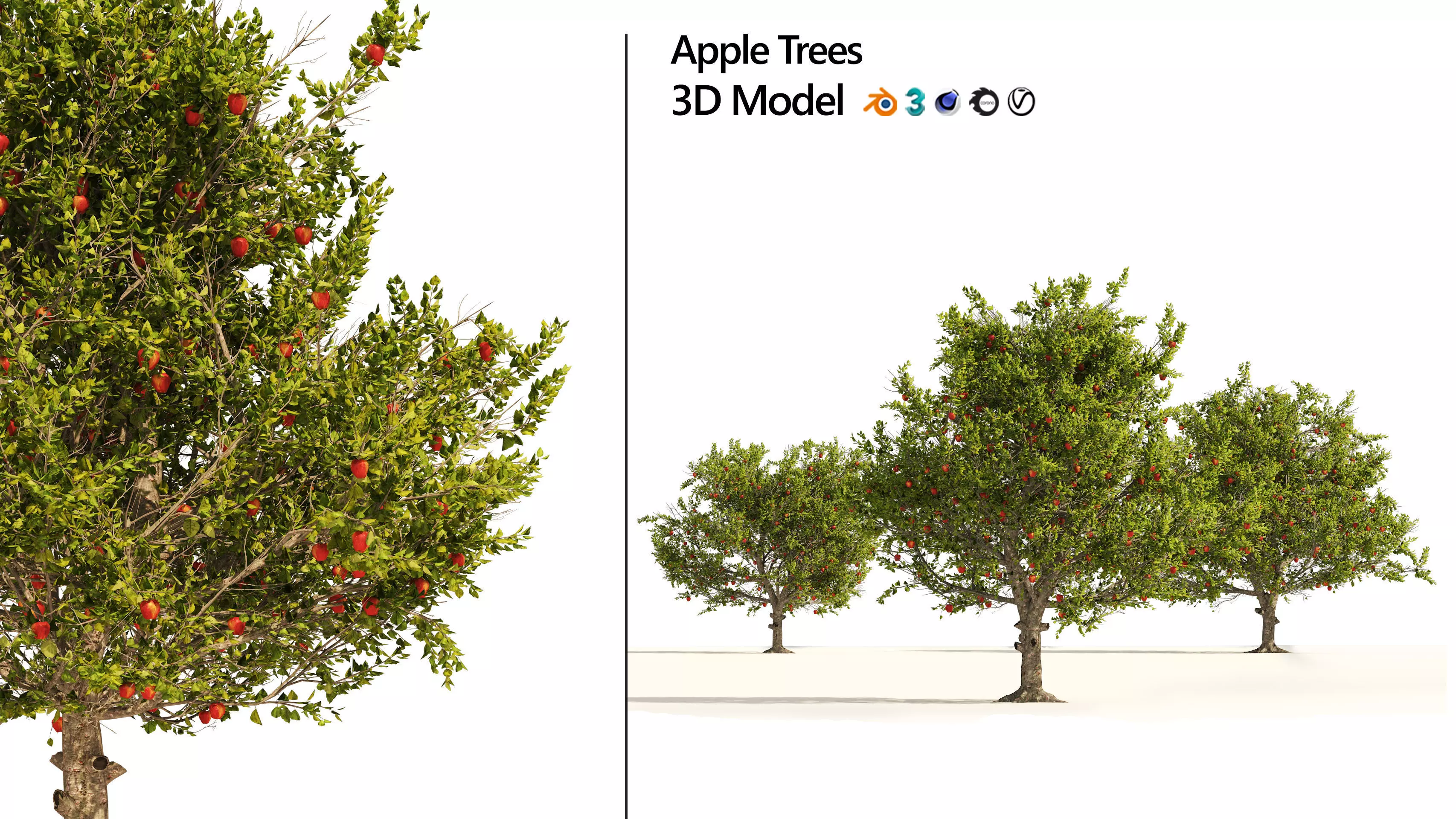 3 Apple trees with apple fruits 3D model_0