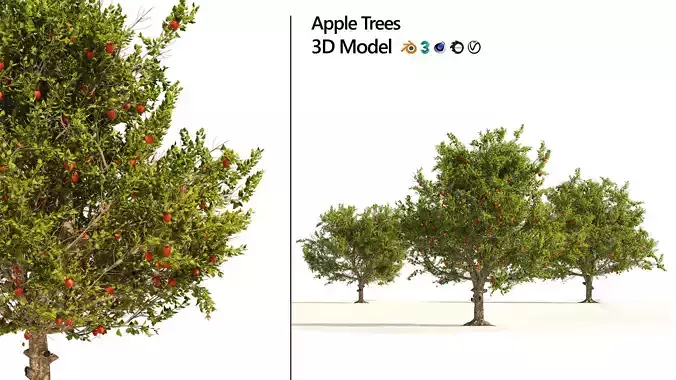 3 Apple trees with apple fruits 3D model