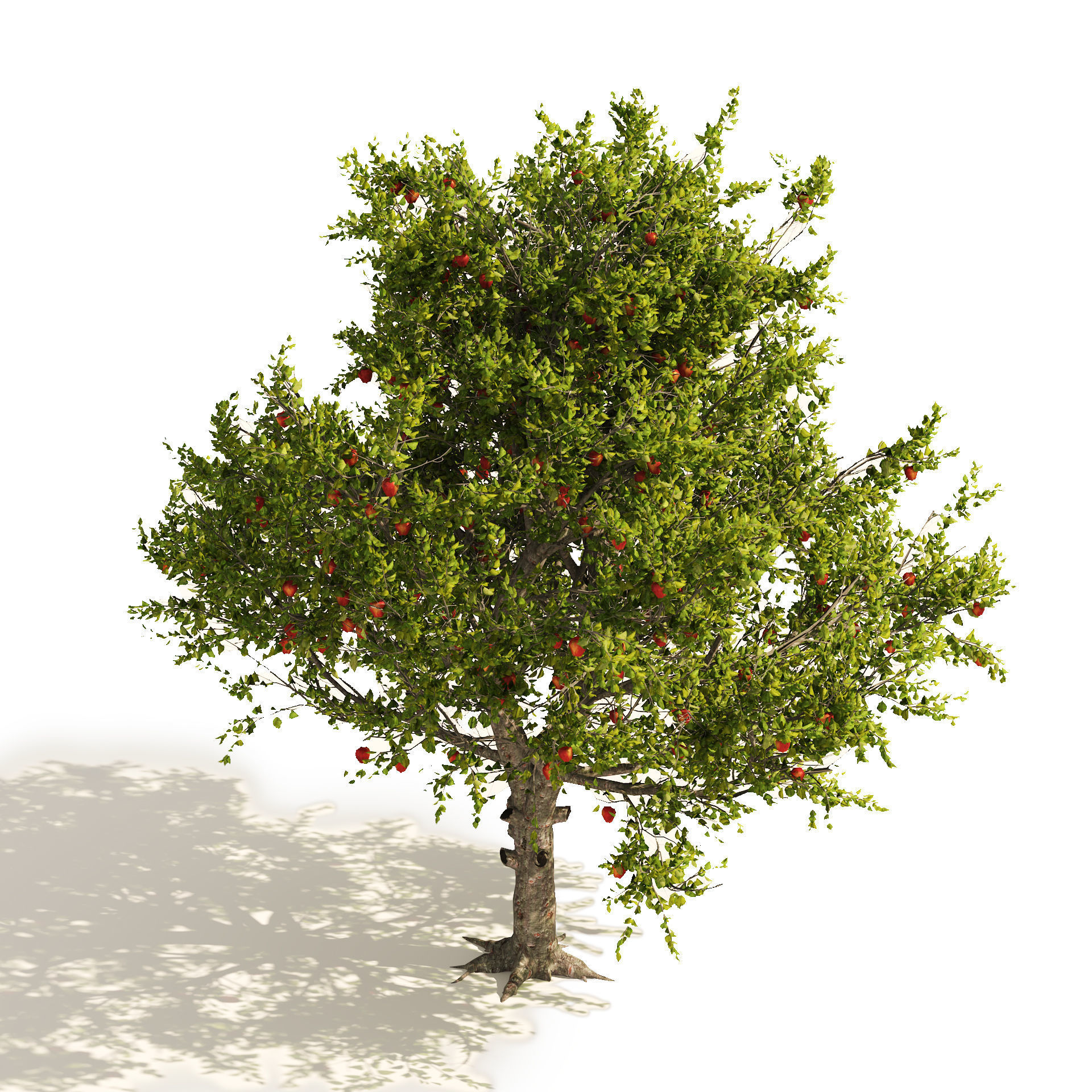 3 Apple trees with apple fruits 3D model_1