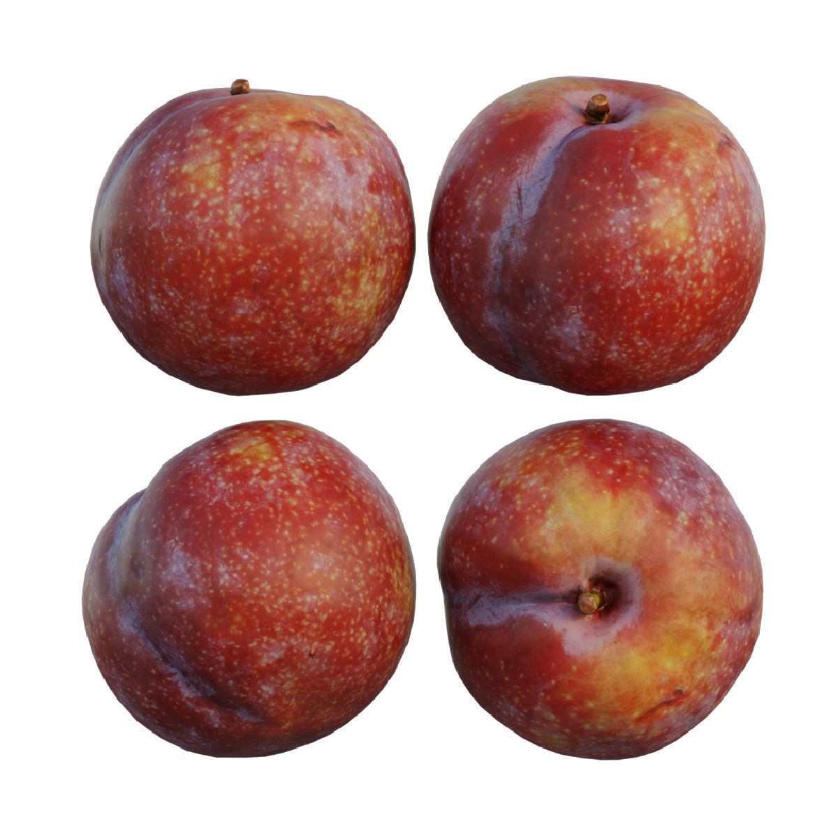 plum 04 3D model_2