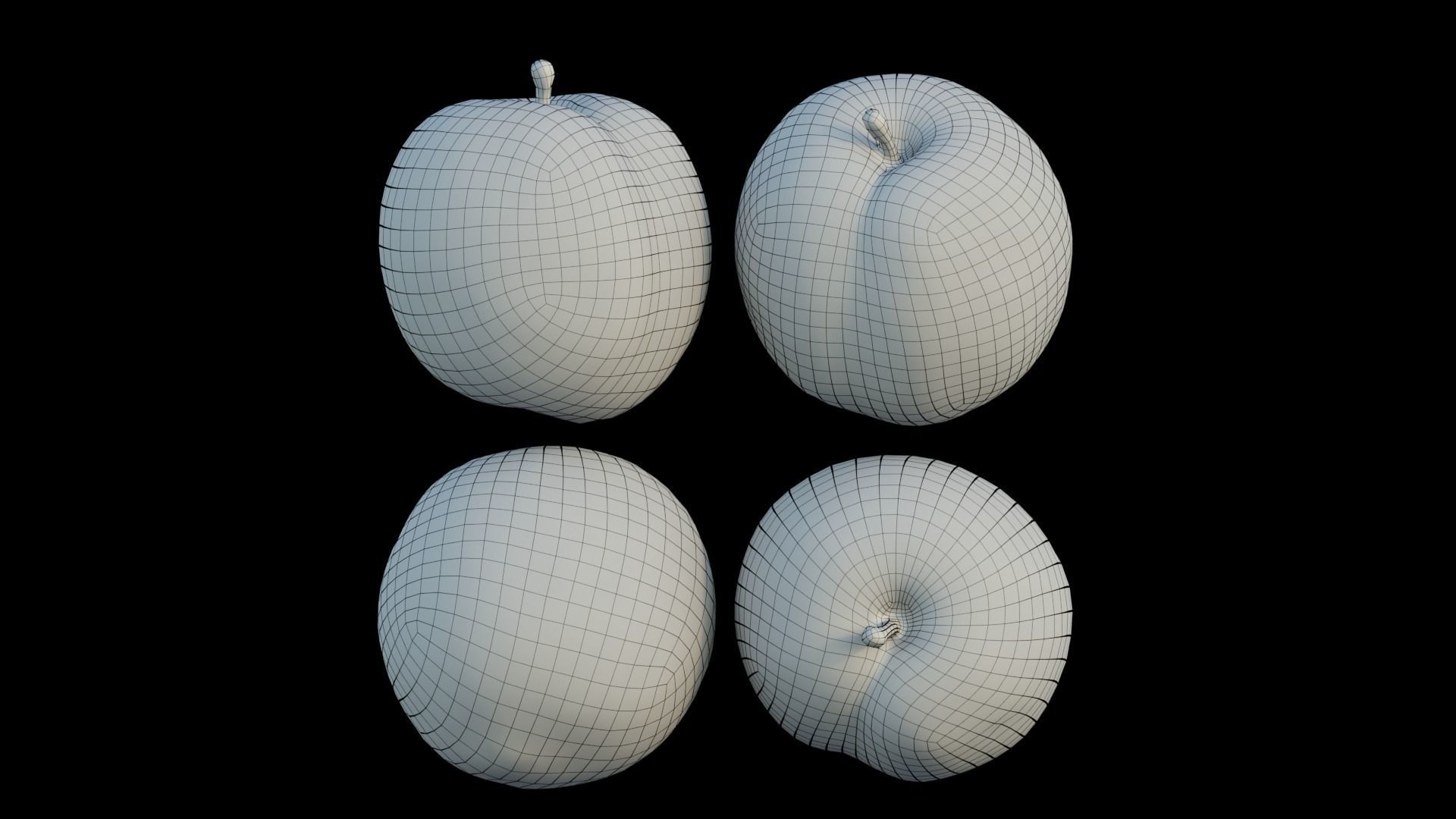 plum 04 3D model_15
