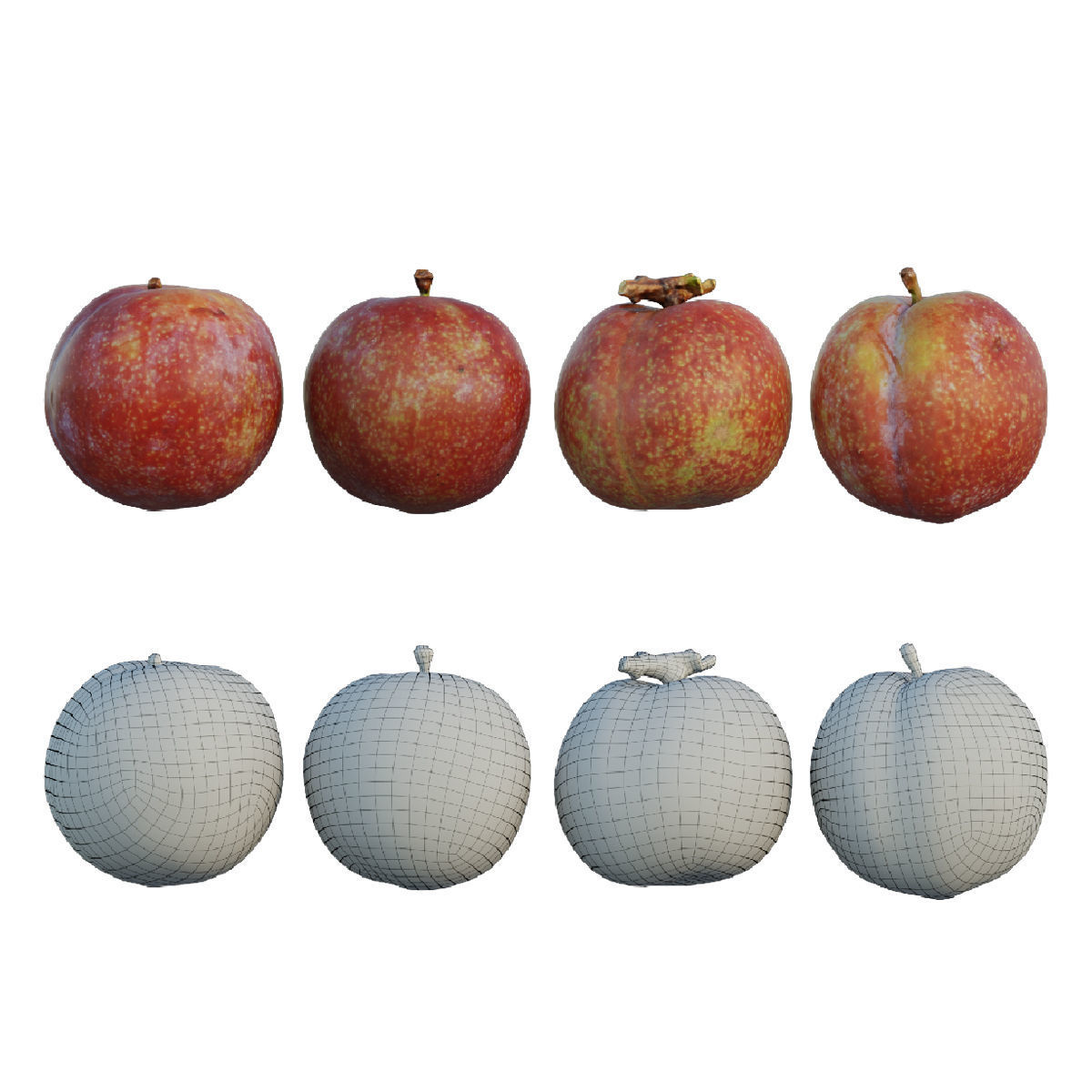 plum 04 3D model_6